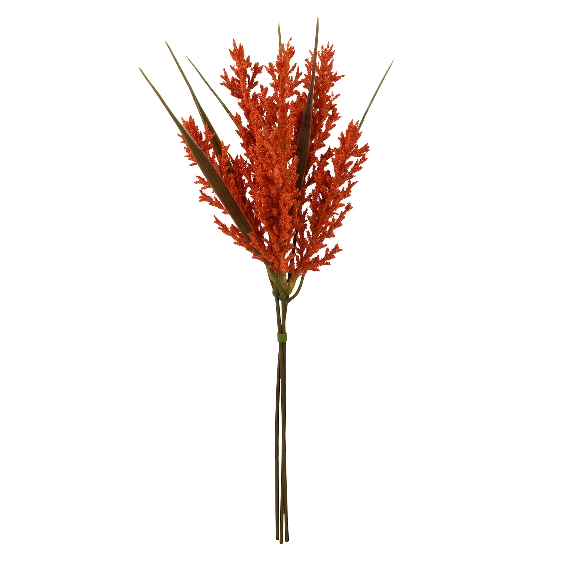 12&#x22; Mini Foxtail Bundle by Ashland&#xAE;