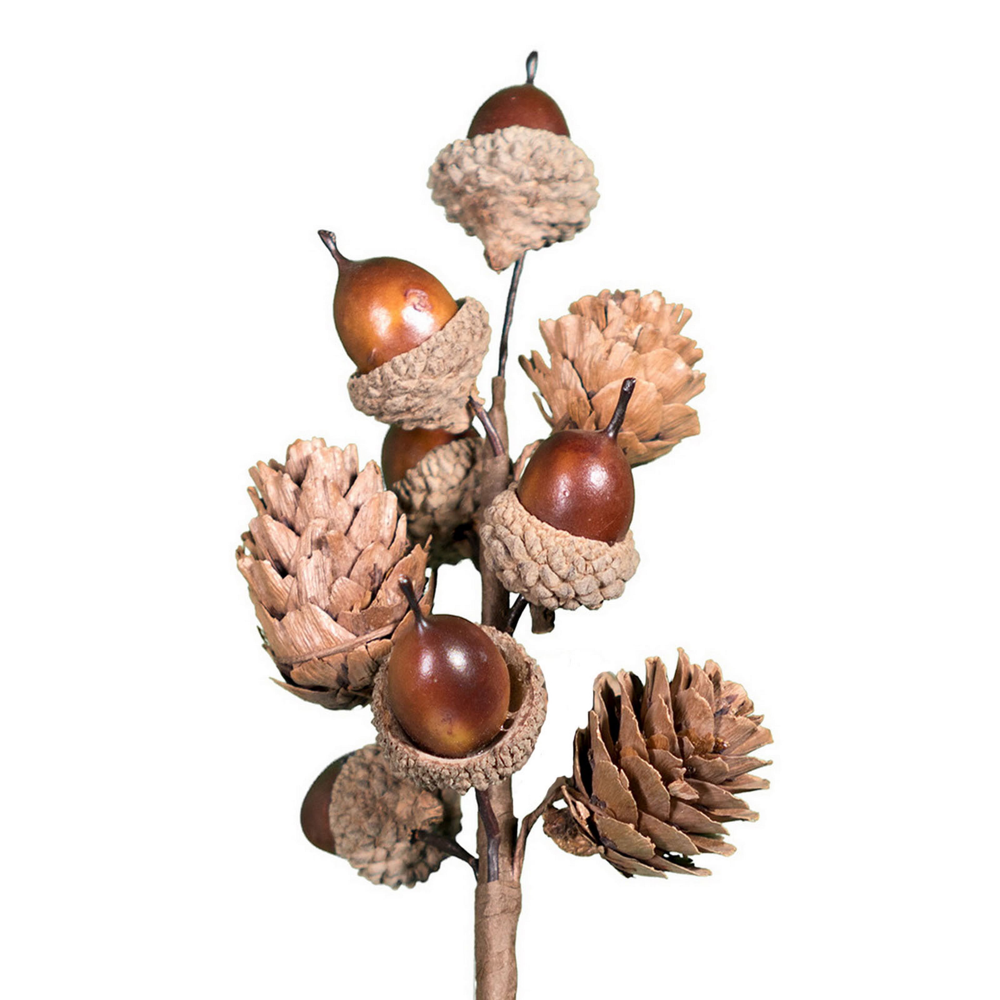 8&#x22; Acorn Pick by Ashland&#xAE;