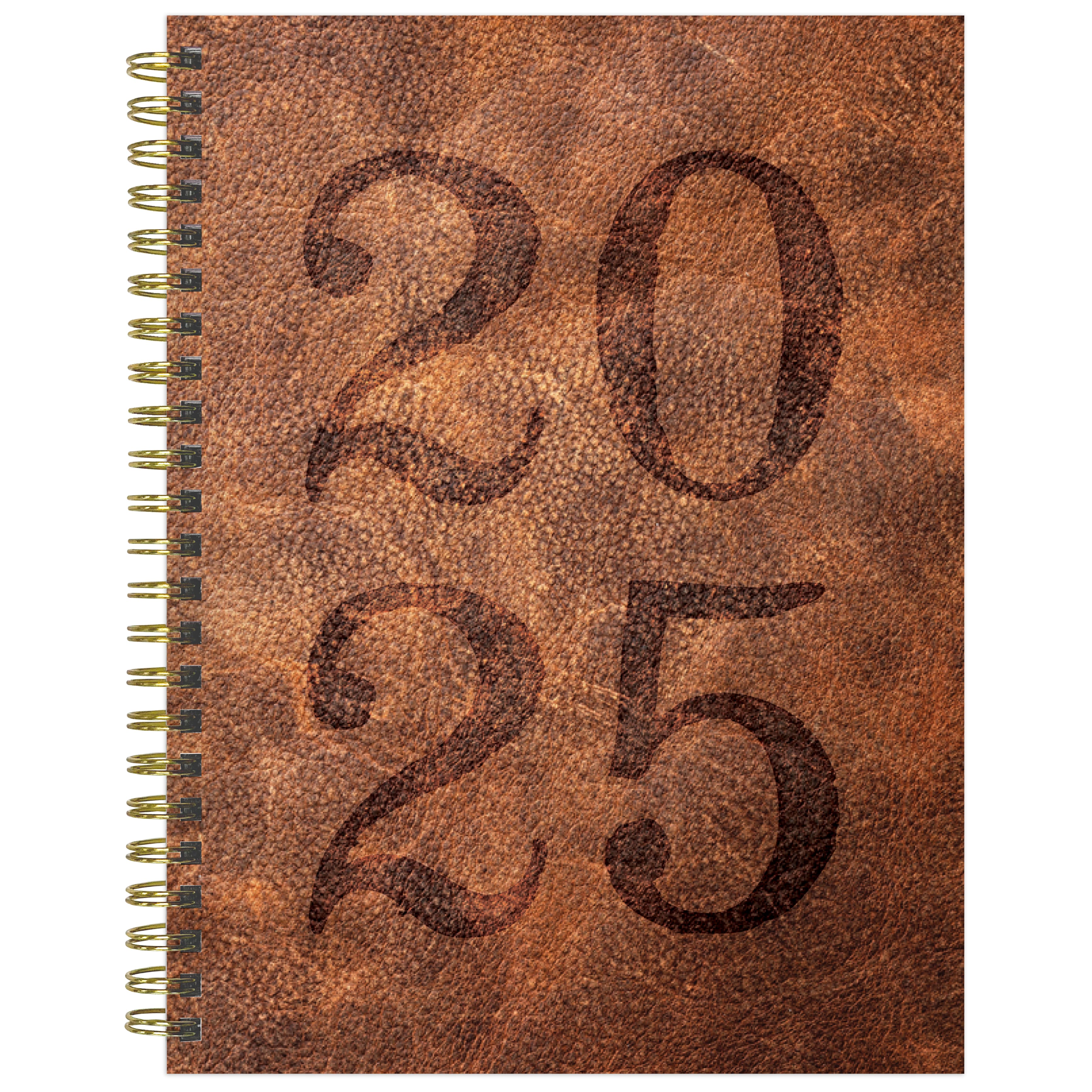 TF Publishing 2025 Medium Aged Leather Weekly Monthly Spiral Planner