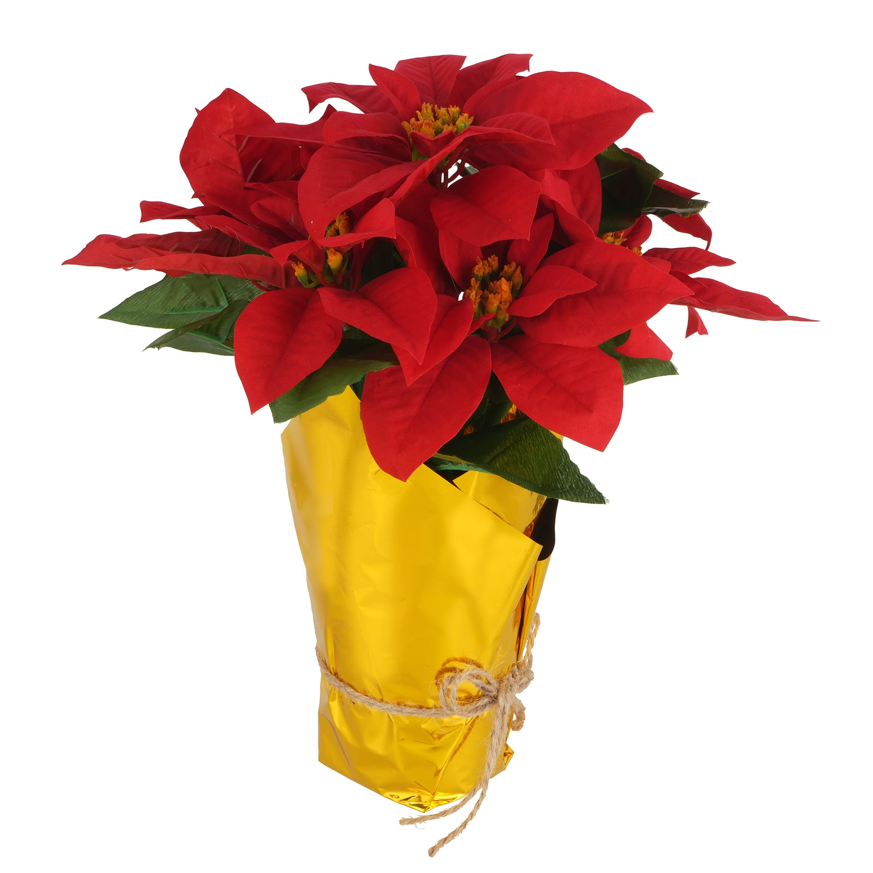 17&#x22; Red Poinsettia Arrangement in Gold Wrapped Pot by Ashland&#xAE;