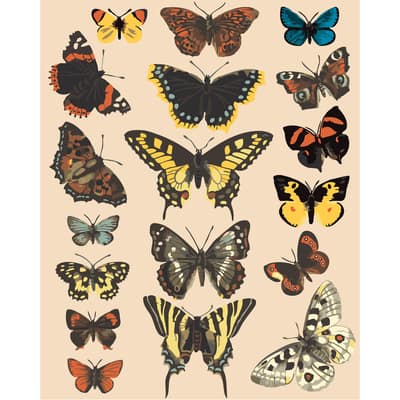 Butterflies Paint-by-Number Kit by Artist's Loft®