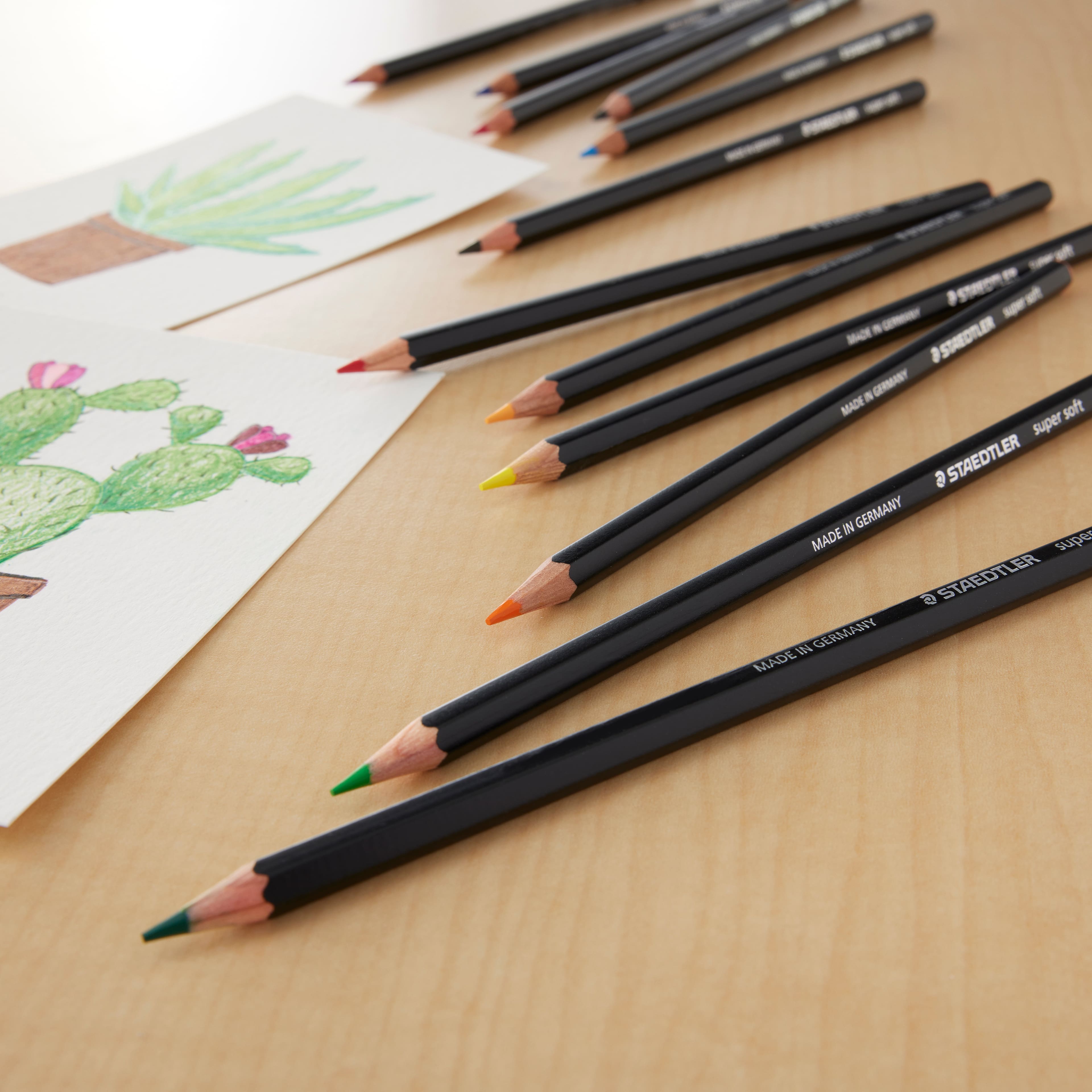 Staedtler® 12 Super Soft Coloured Pencil Set