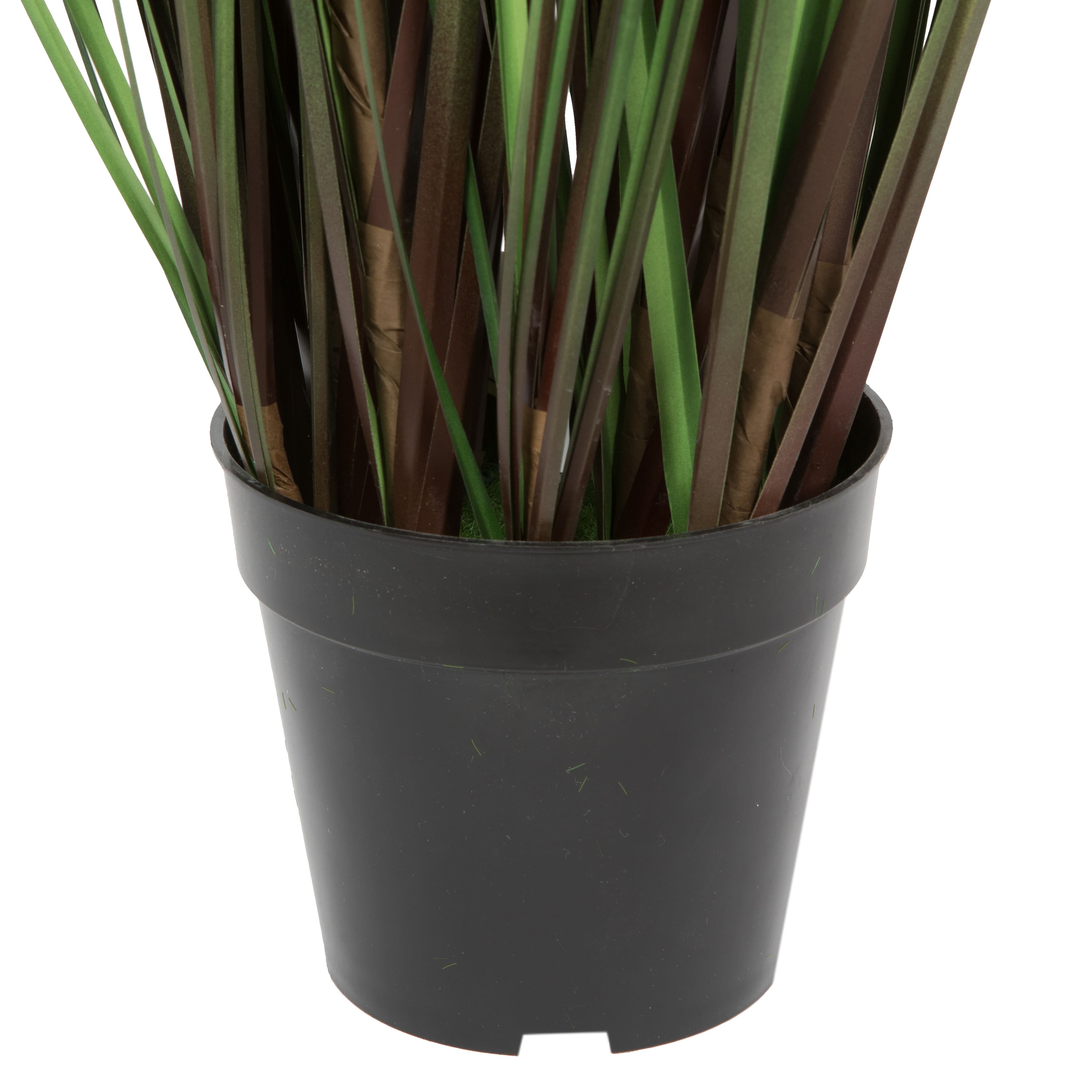 Potted Green Straight Grass &#x26; Cattails
