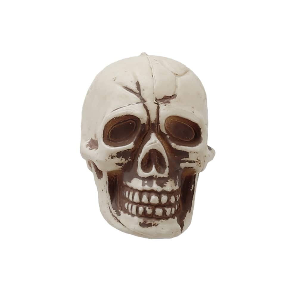 Assorted Bag of Skulls by Ashland&#xAE;, 12pc.