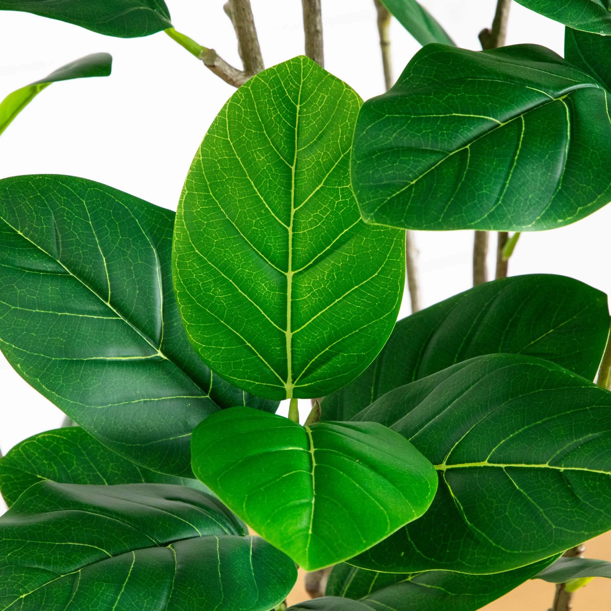 7ft. Artificial Minimalist Audrey Ficus Tree