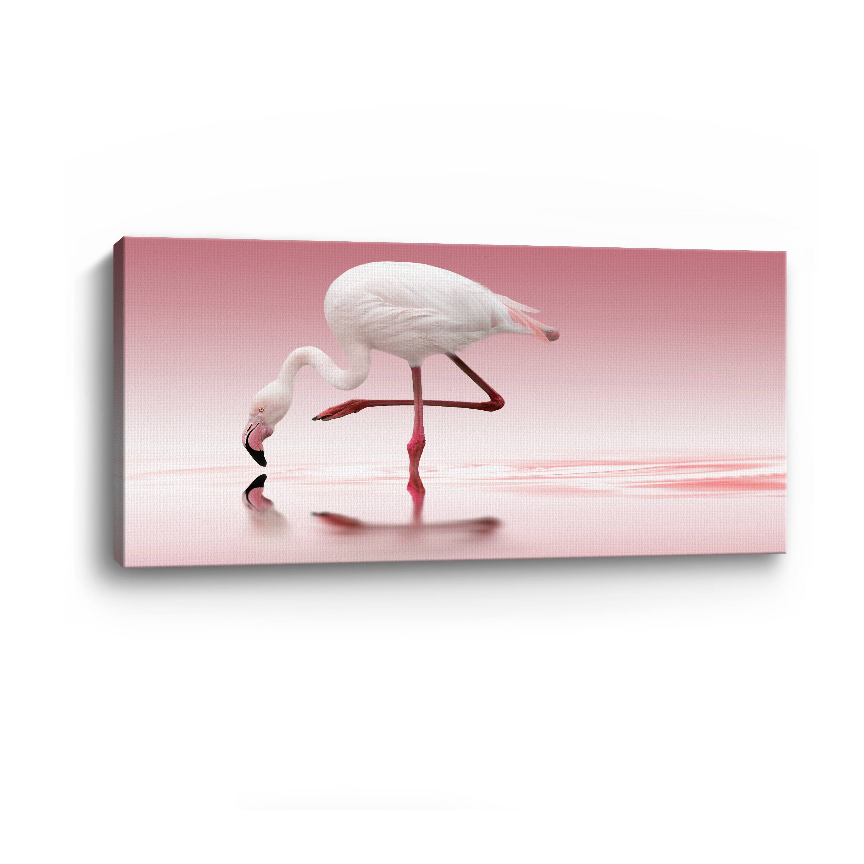 Reindl - Flamingo Canvas Giclee