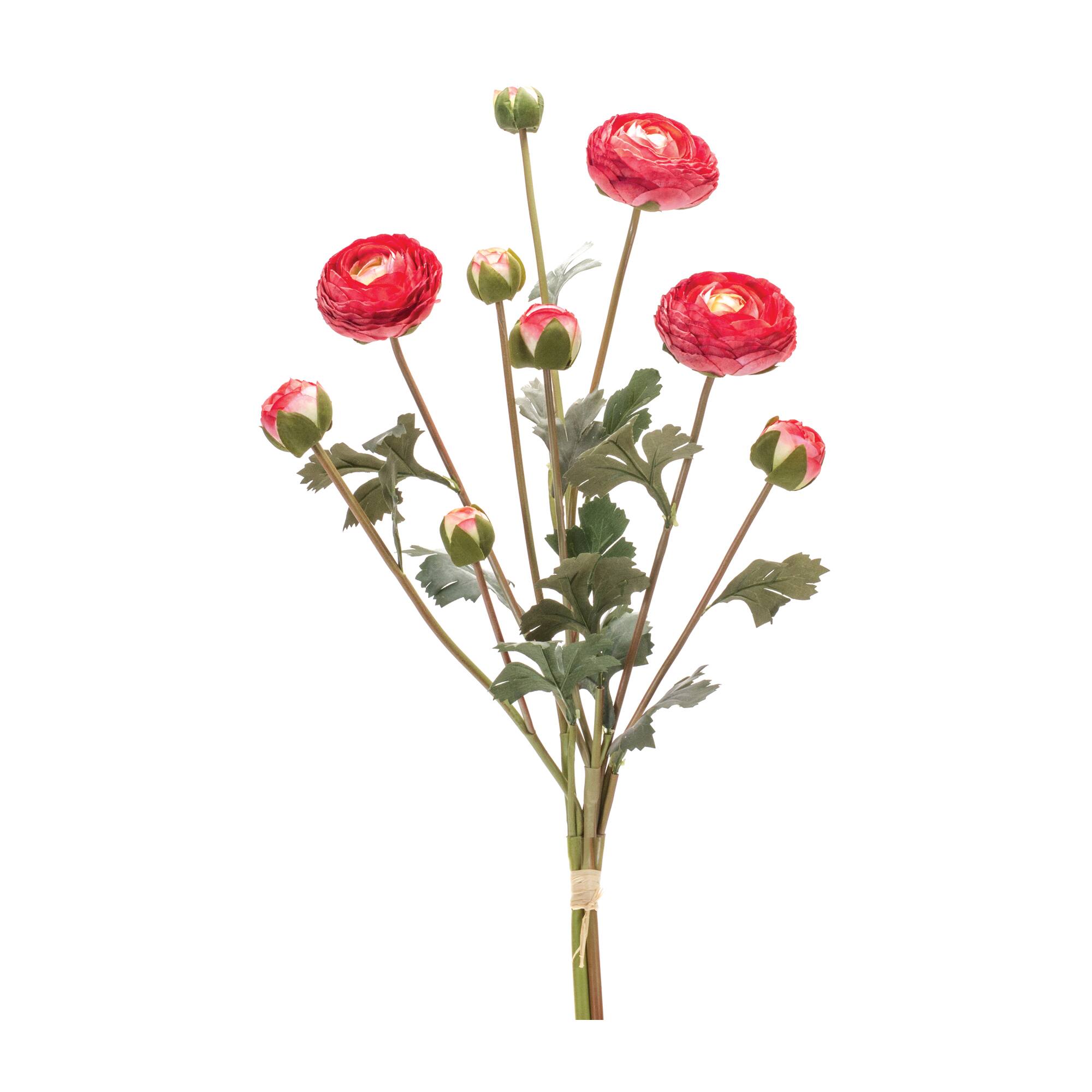Red Ranunculus Bundle, 2ct.
