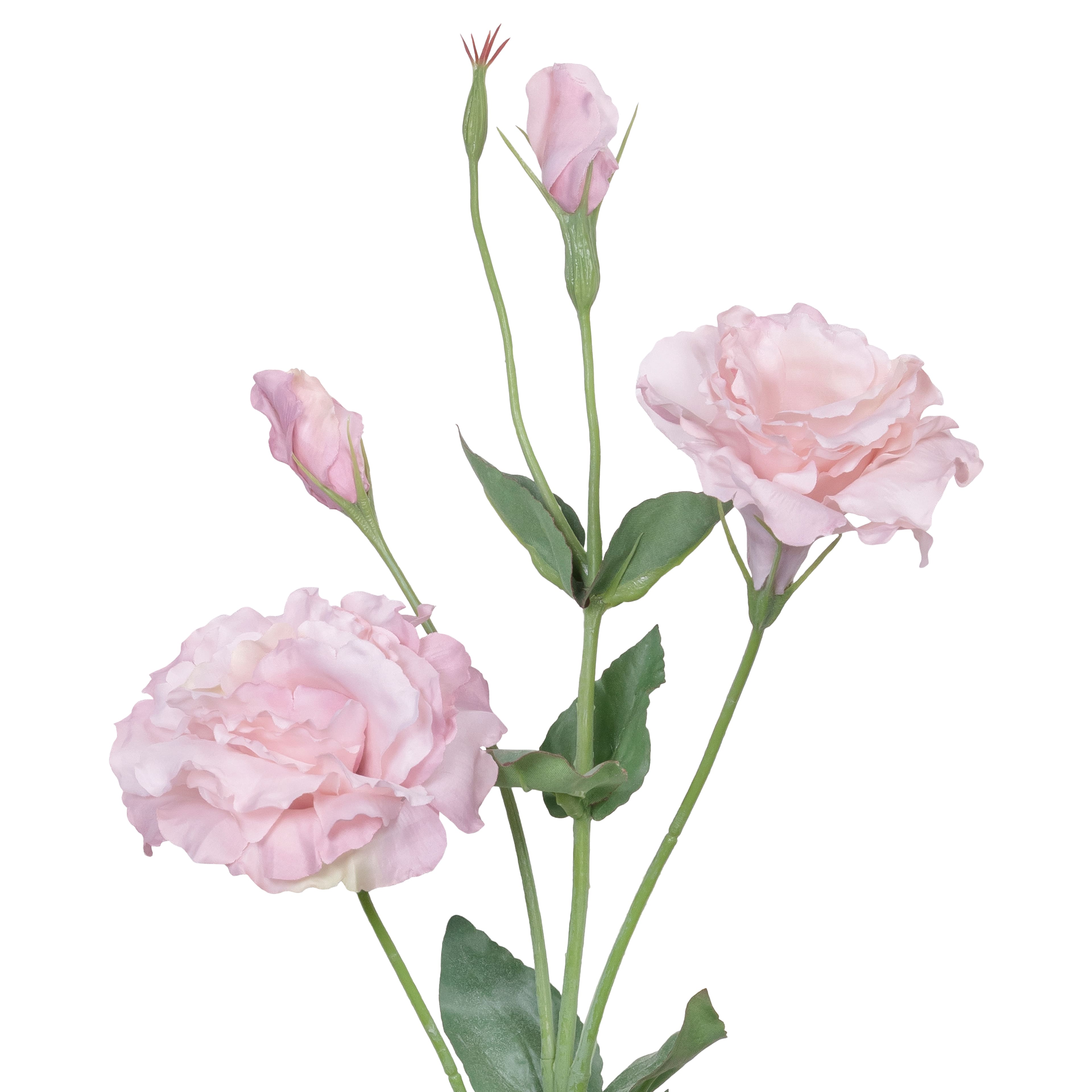 27" Lisianthus Stem by Ashland