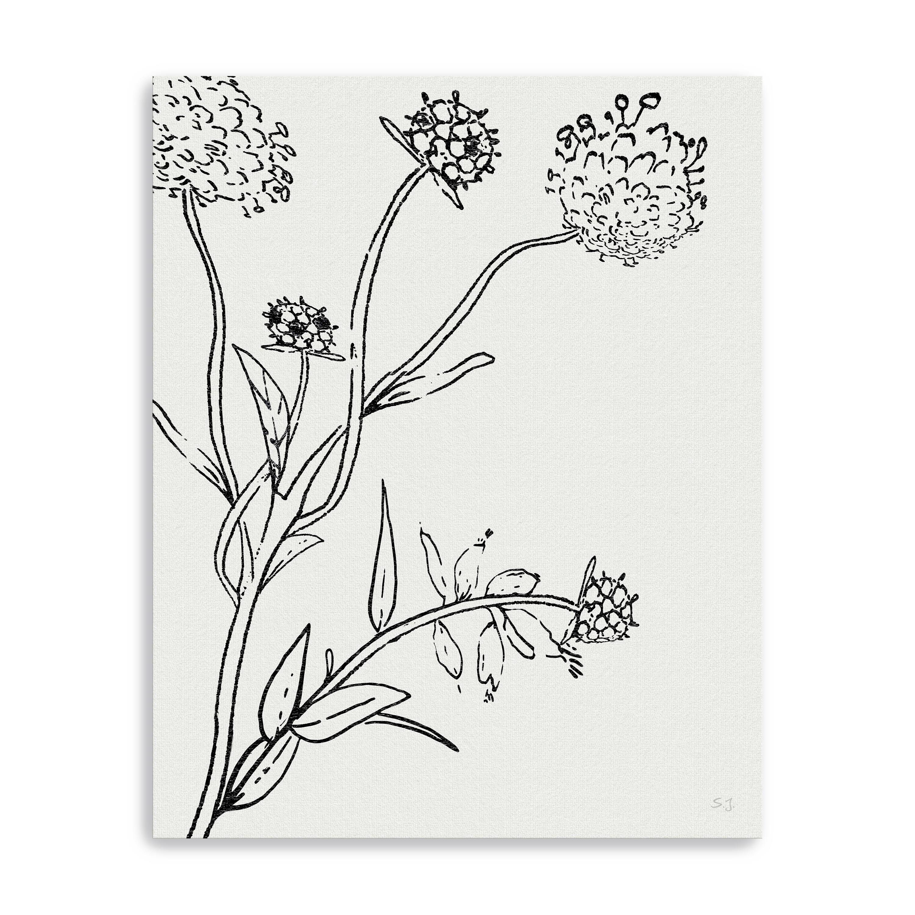 Botanical Study I Canvas Giclee