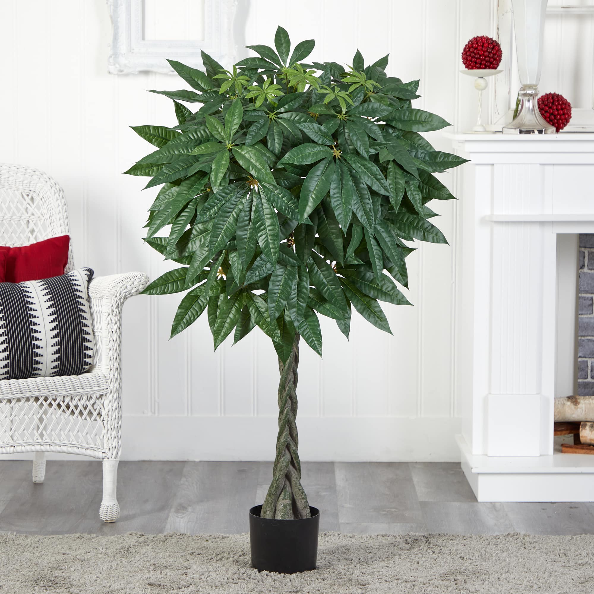 4ft. Potted Braided Money Tree