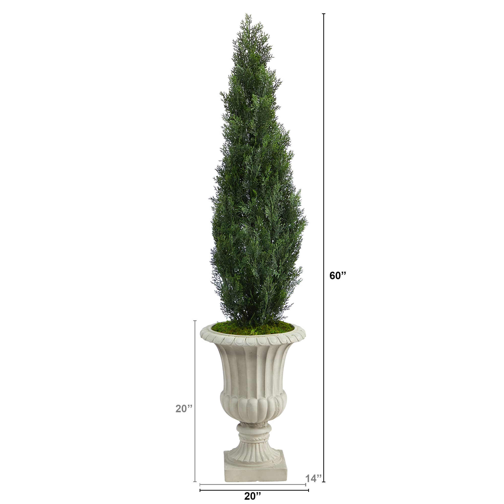 5ft. Cedar Tree in Sand Finished Urn