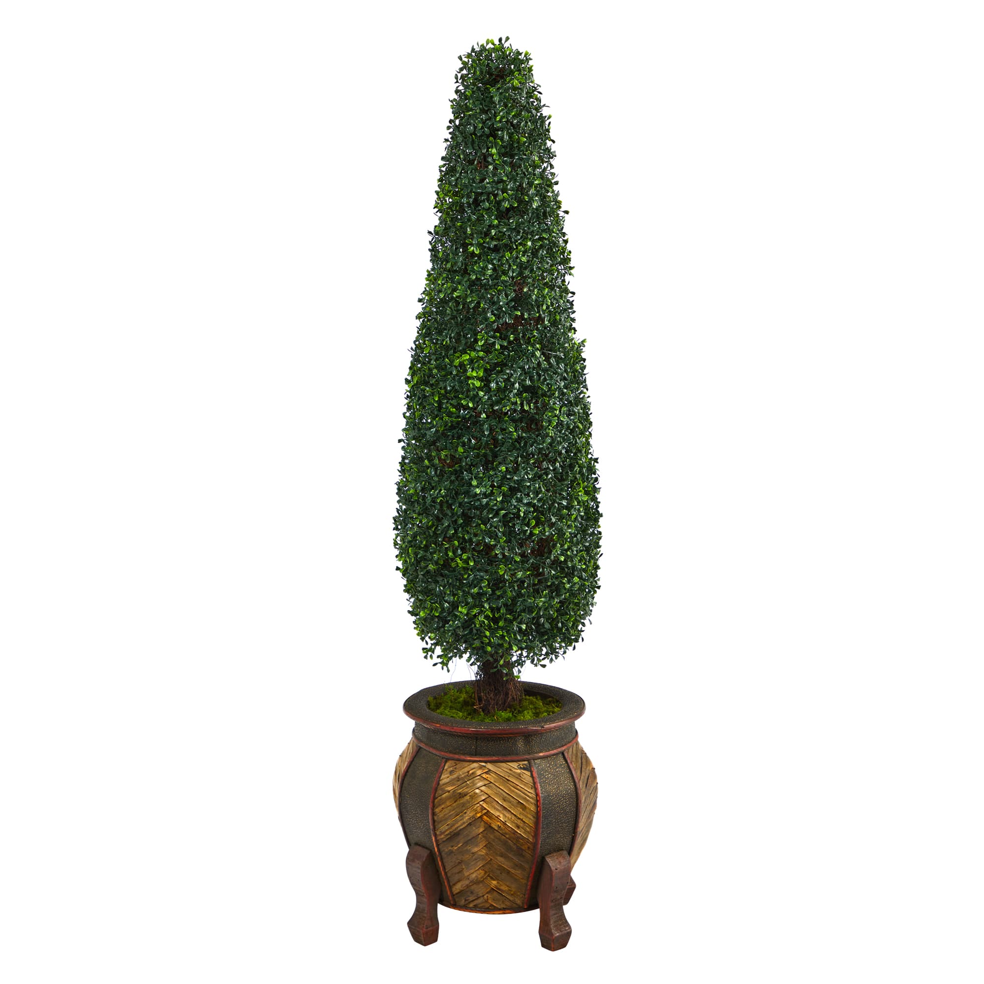 5ft. Boxwood Topiary in Decorative Planter