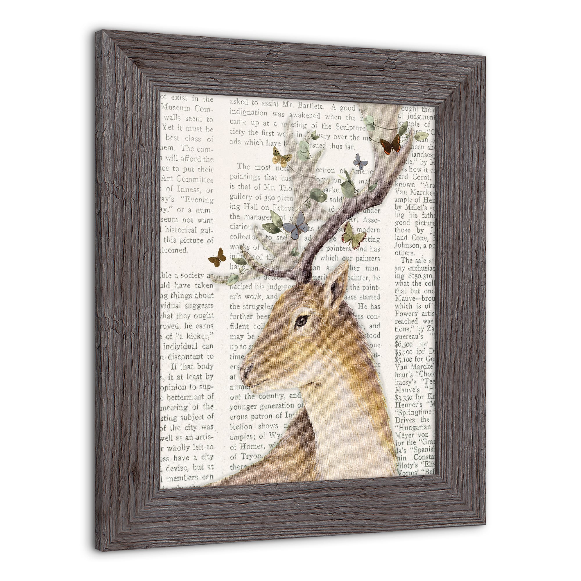 Whimsical Deer Western Framed Print