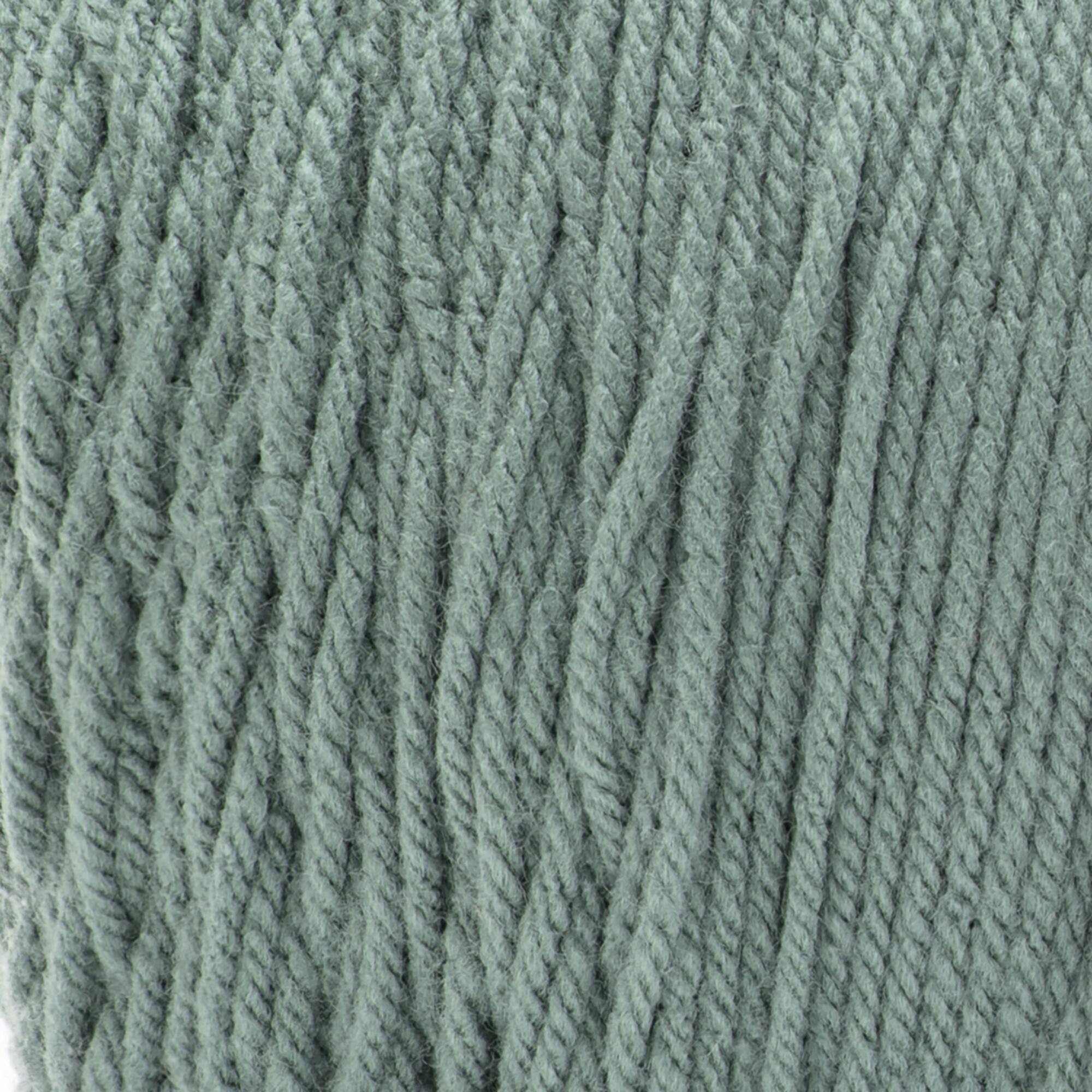 Caron® One Pound™ Solid Hosta Green Yarn