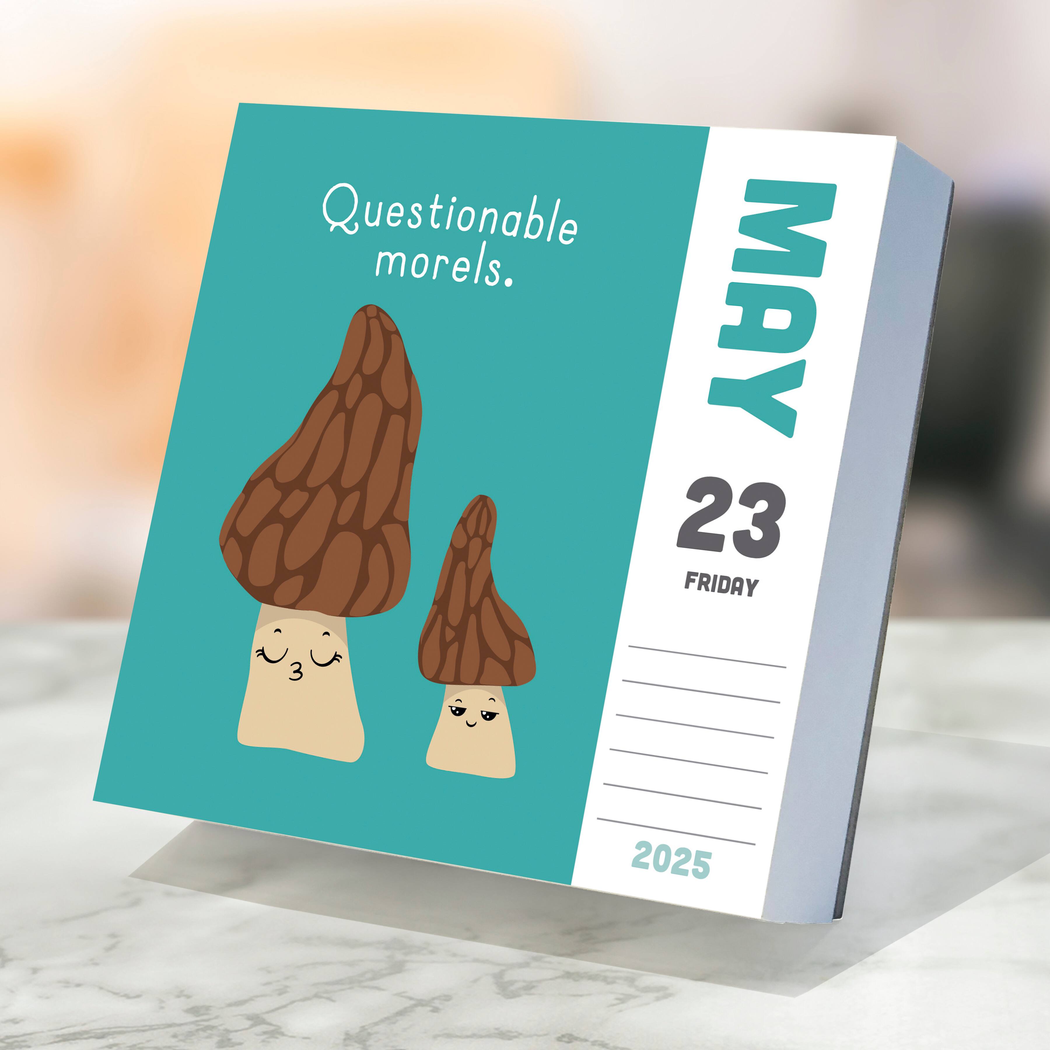 TF Publishing 2025 Puns of Fun Daily Desktop Calendar