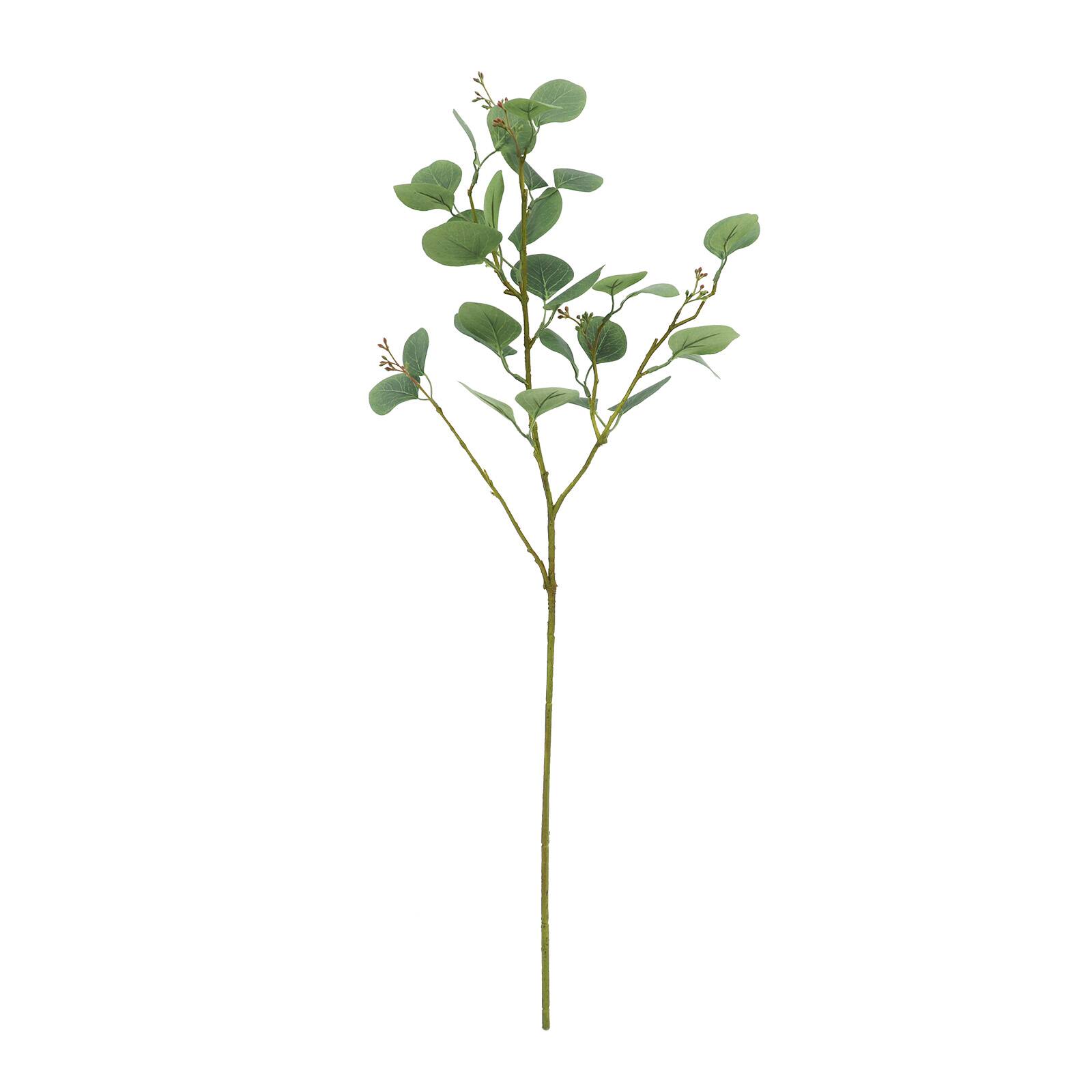 Green Seed Eucalyptus Stem By Ashland® Michaels 6178