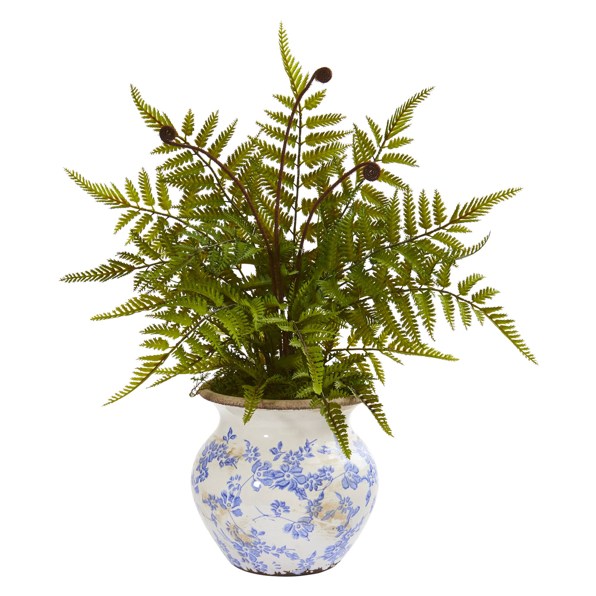 17" Fern in Decorative Vase