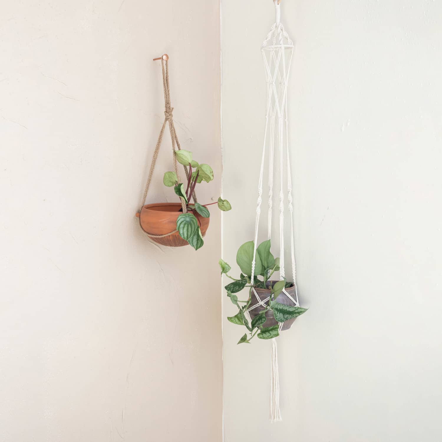 9.5&#x22; Terra Cotta Hanging Stoneware Planter with Cotton Hanger