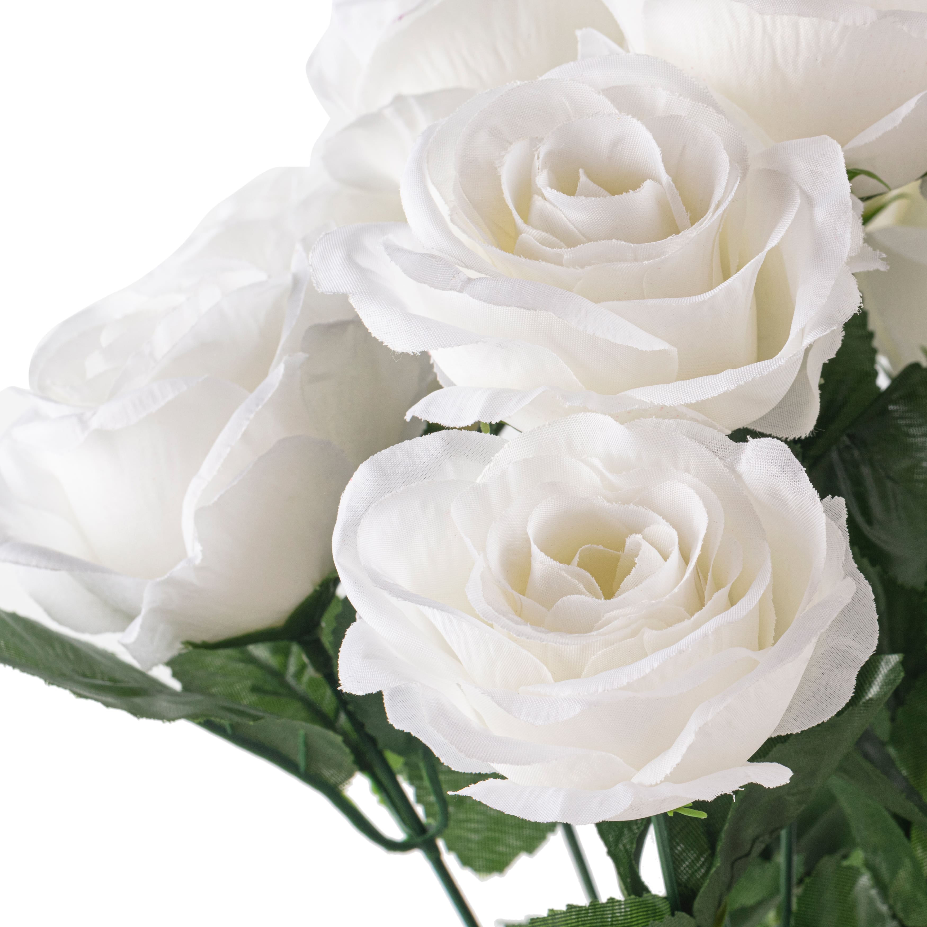 12 Pack: Cream Rose Bush by Ashland&#xAE;