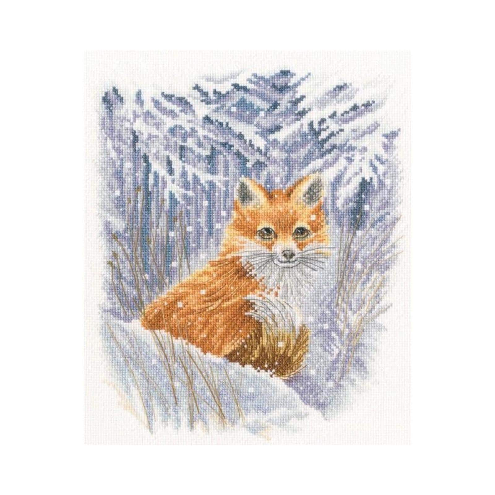 RTO Encounter Counted Cross Stitch Kit