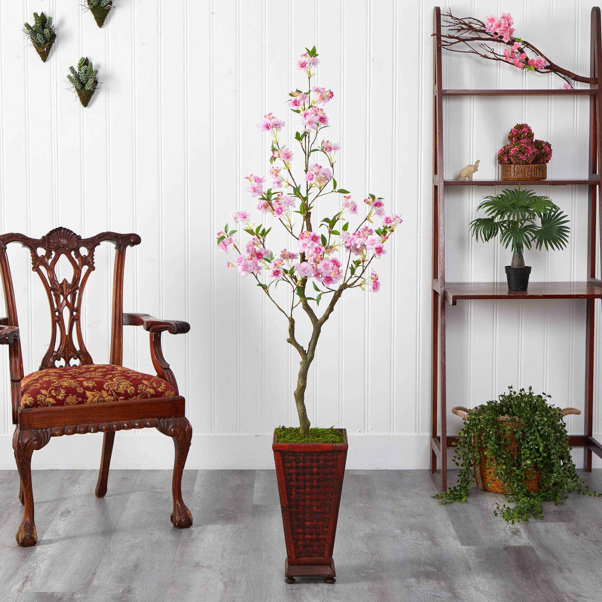 5ft. Cherry Blossom Tree in Decorative Planter