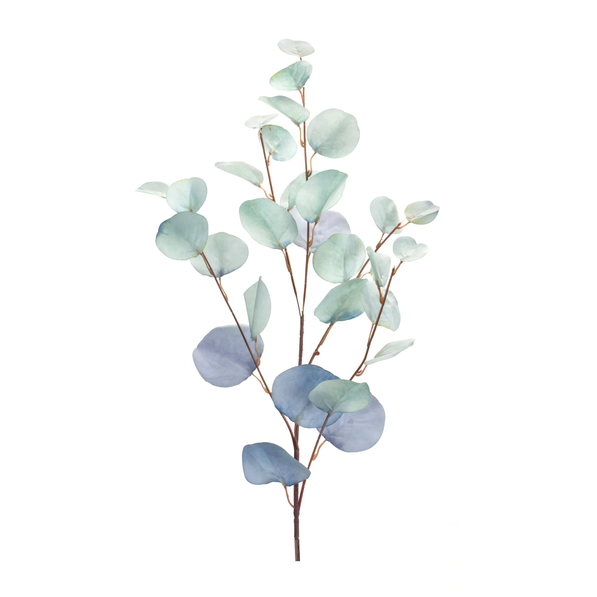 Blue Eucalyptus Spray, 6ct.