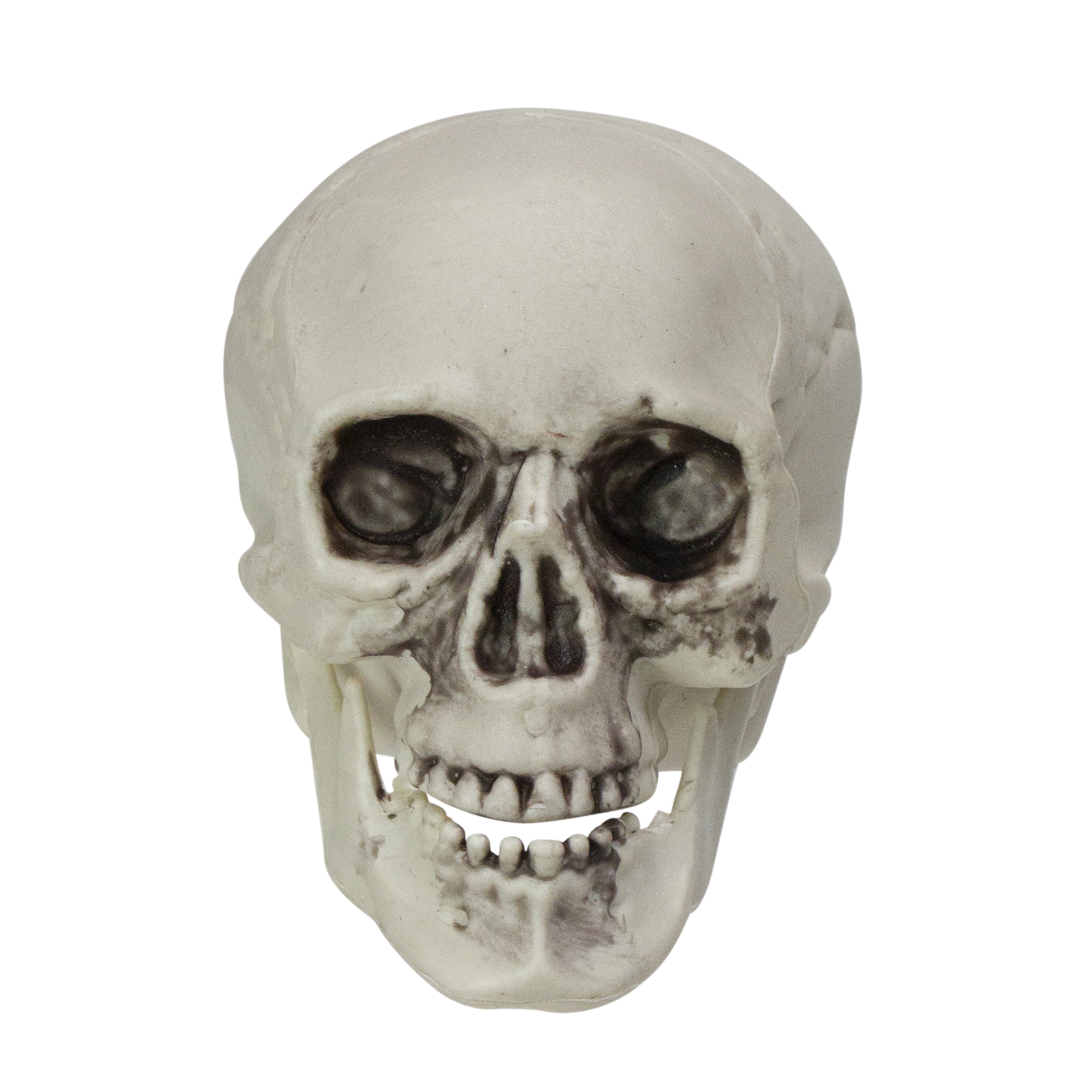 3.5&#x27;&#x27; Skull Head Halloween Decorations, 6ct.