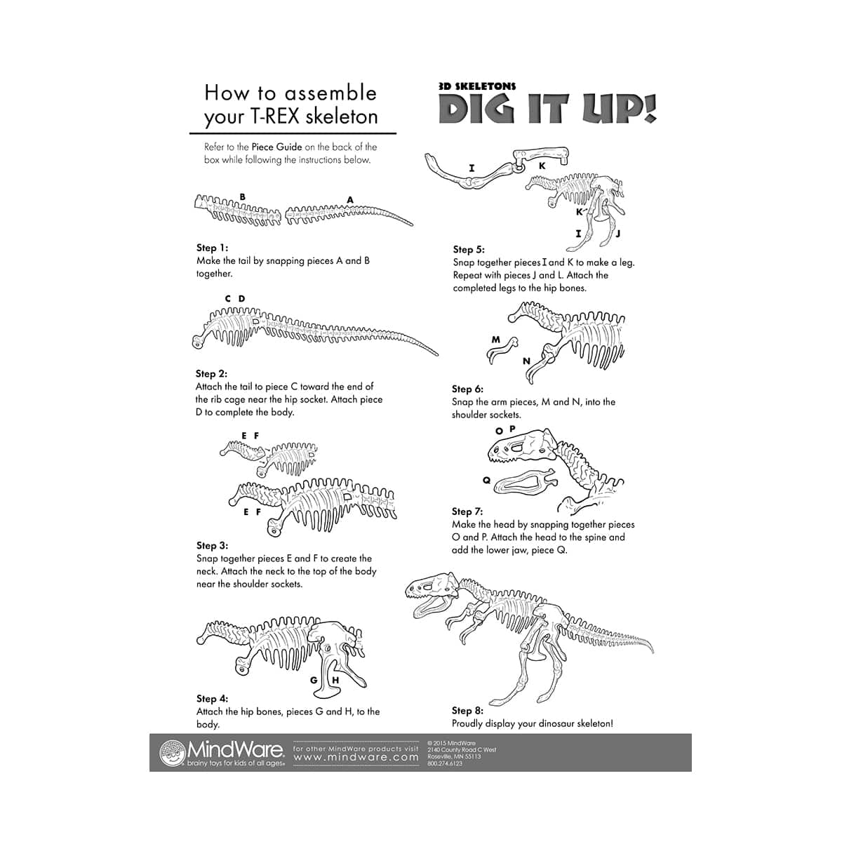 Dig It Up! - Dino Model: Tyrannosaurus Rex