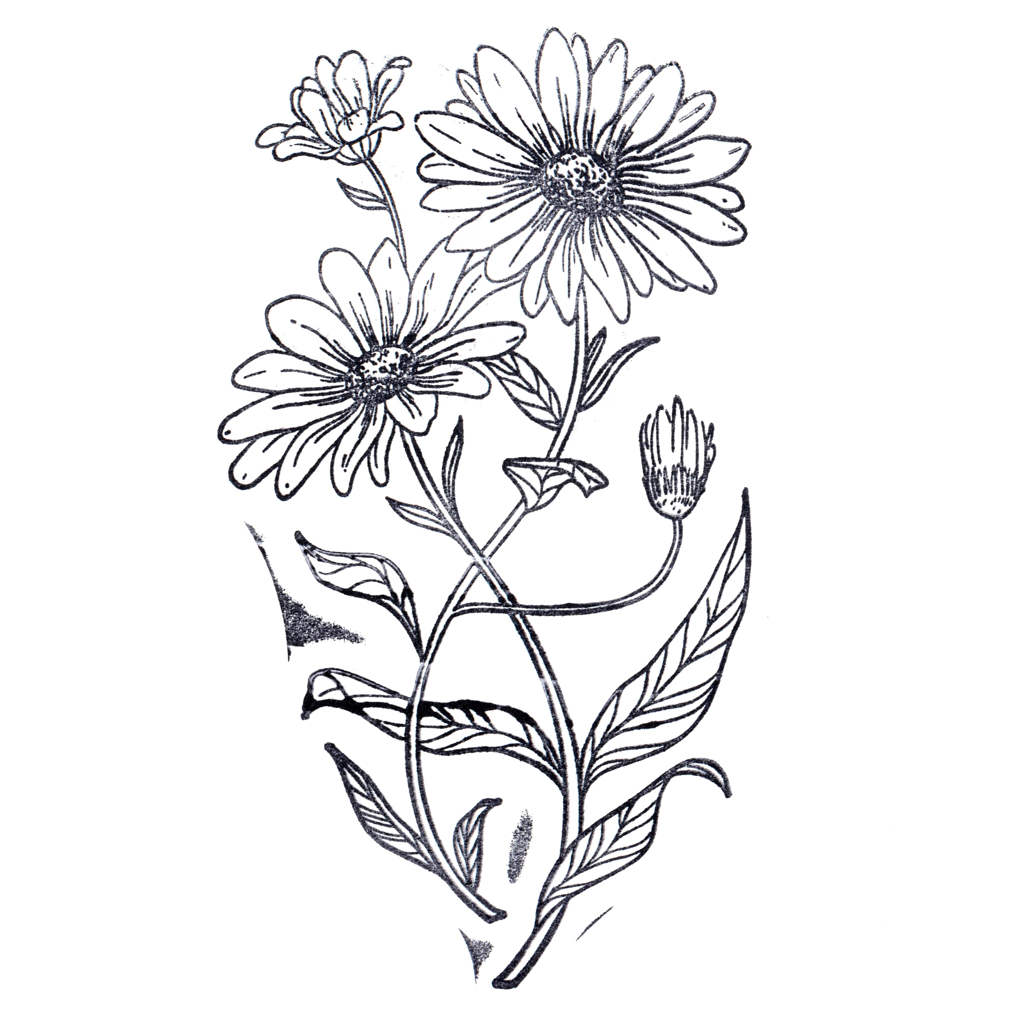 Daisy Stamp by Recollections&#x2122;