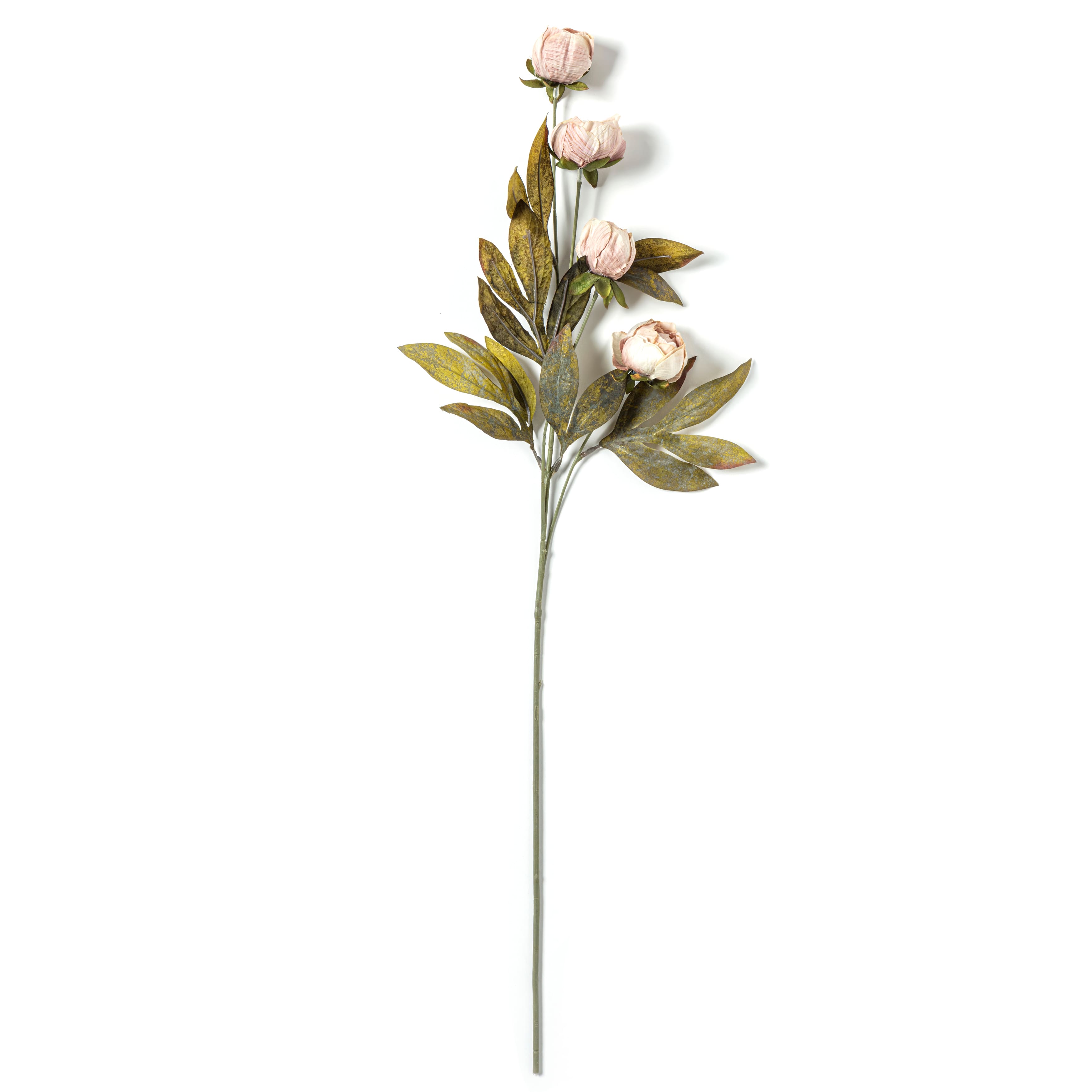 Tan Peony Stem by Ashland®