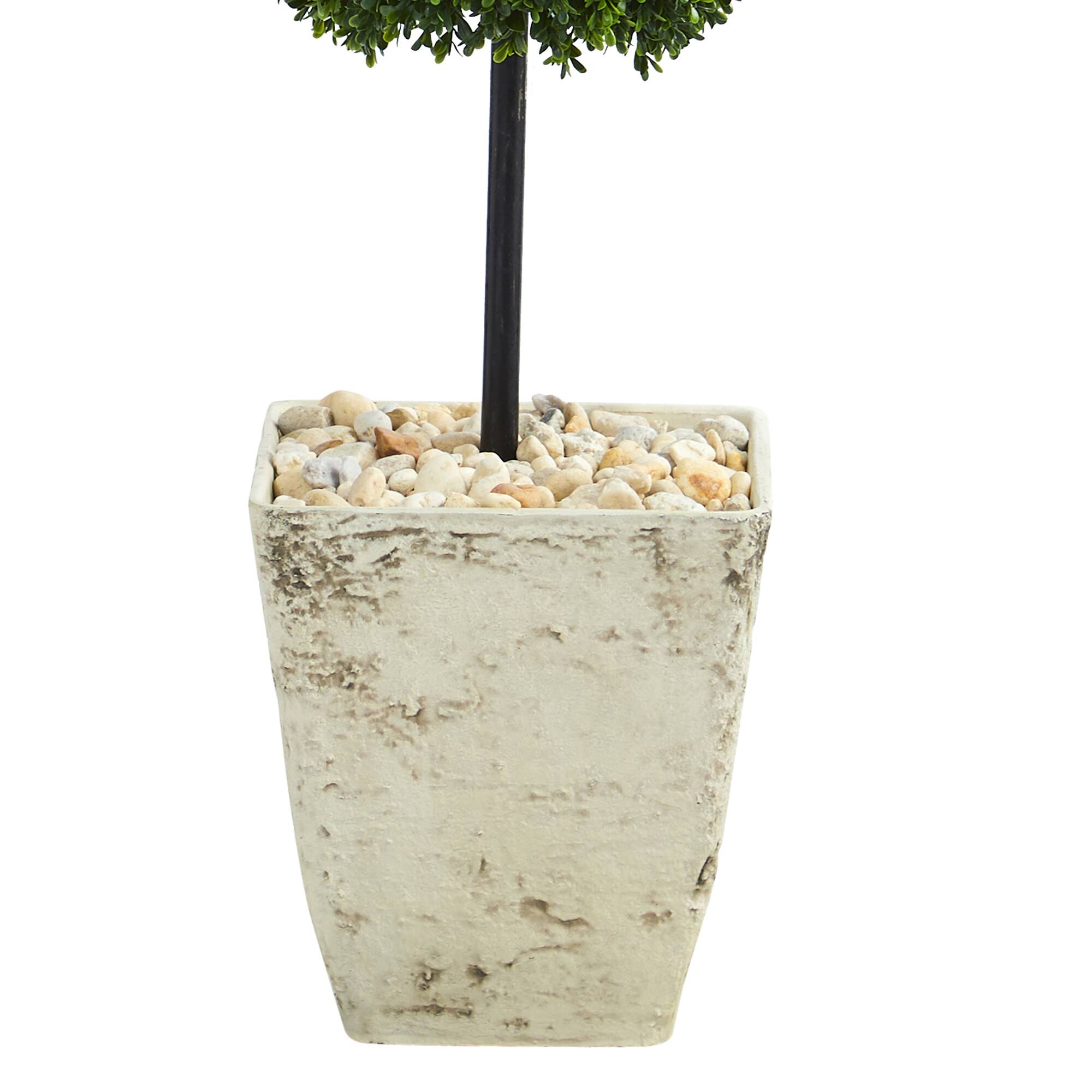4ft. Boxwood Double Ball Topiary Tree in Country White Planter