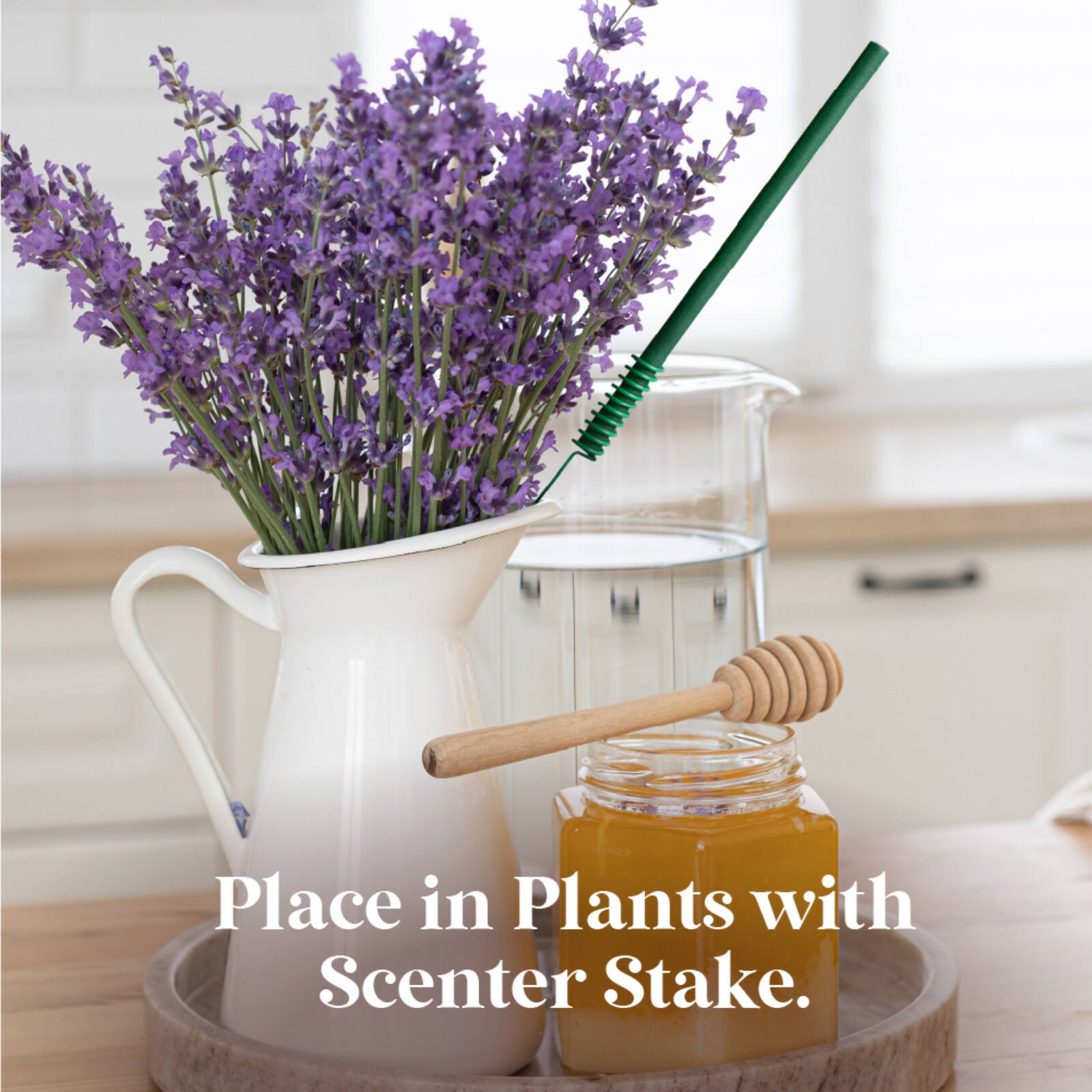 Scentsicles Stick Sun Soaked Lavender and Into the Vanilla Woods, 2 pack of 6