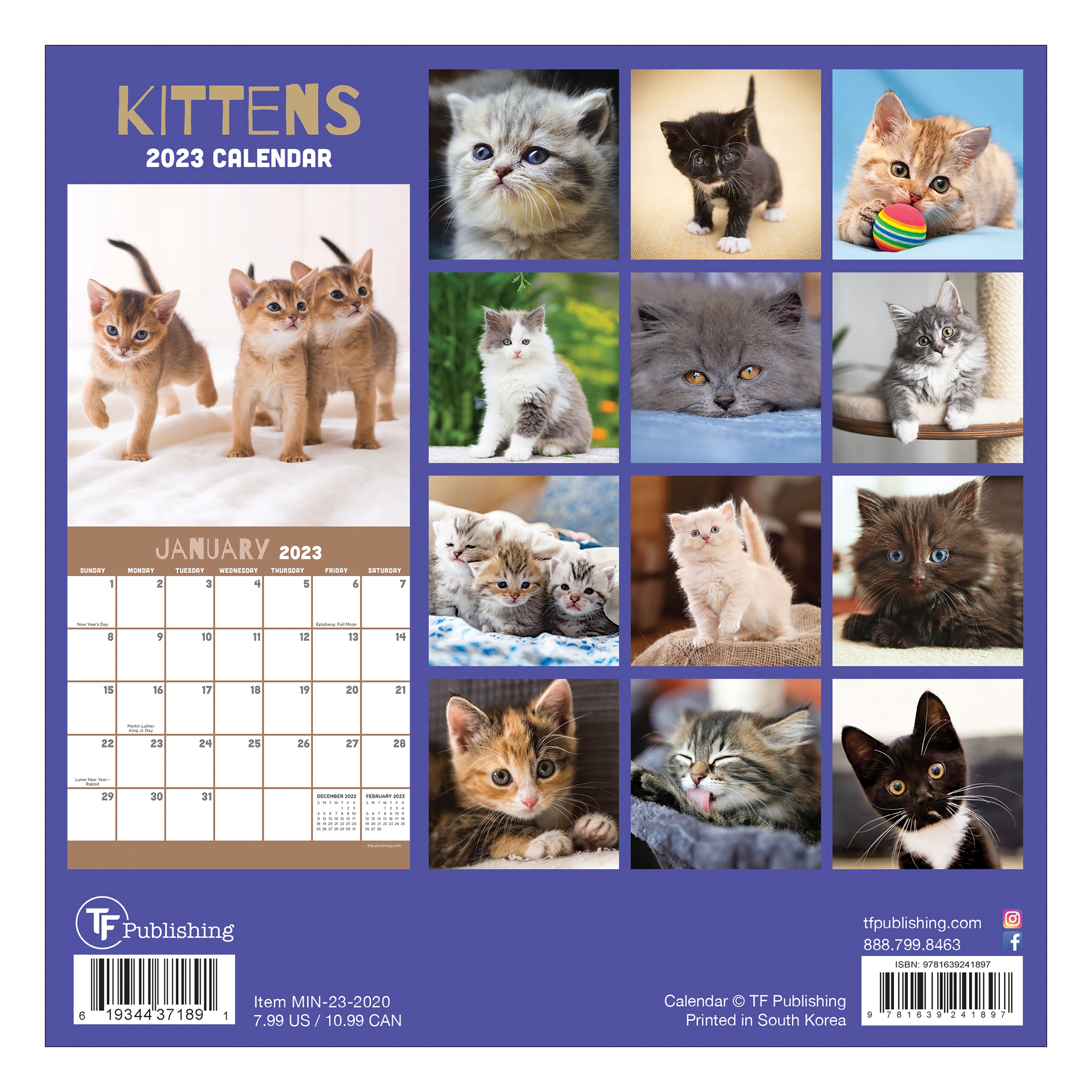 TF Publishing 2023 Kittens Mini Calendar | Michaels