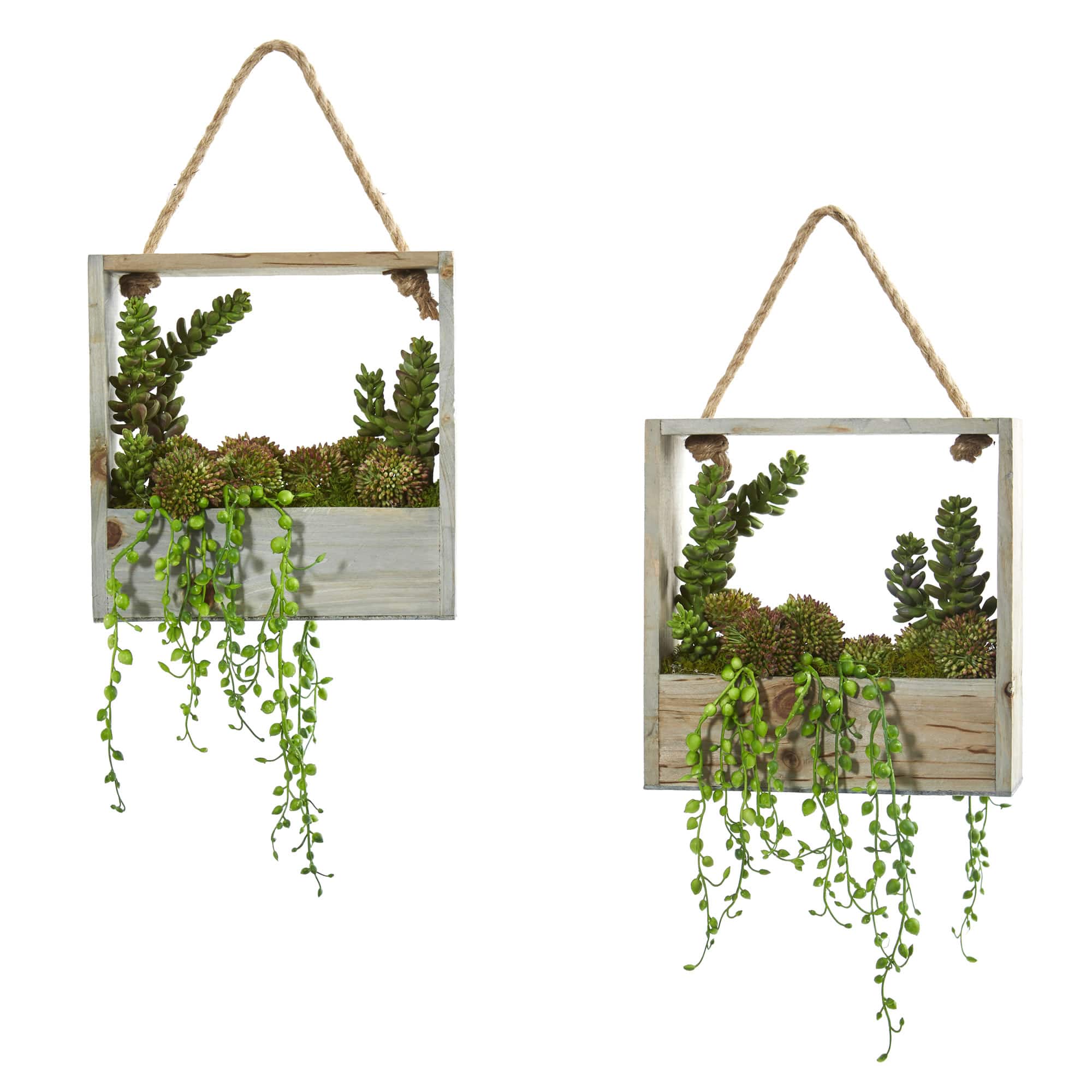8&#x27;&#x27; Succulent Garden Hanging Frame, 2ct.