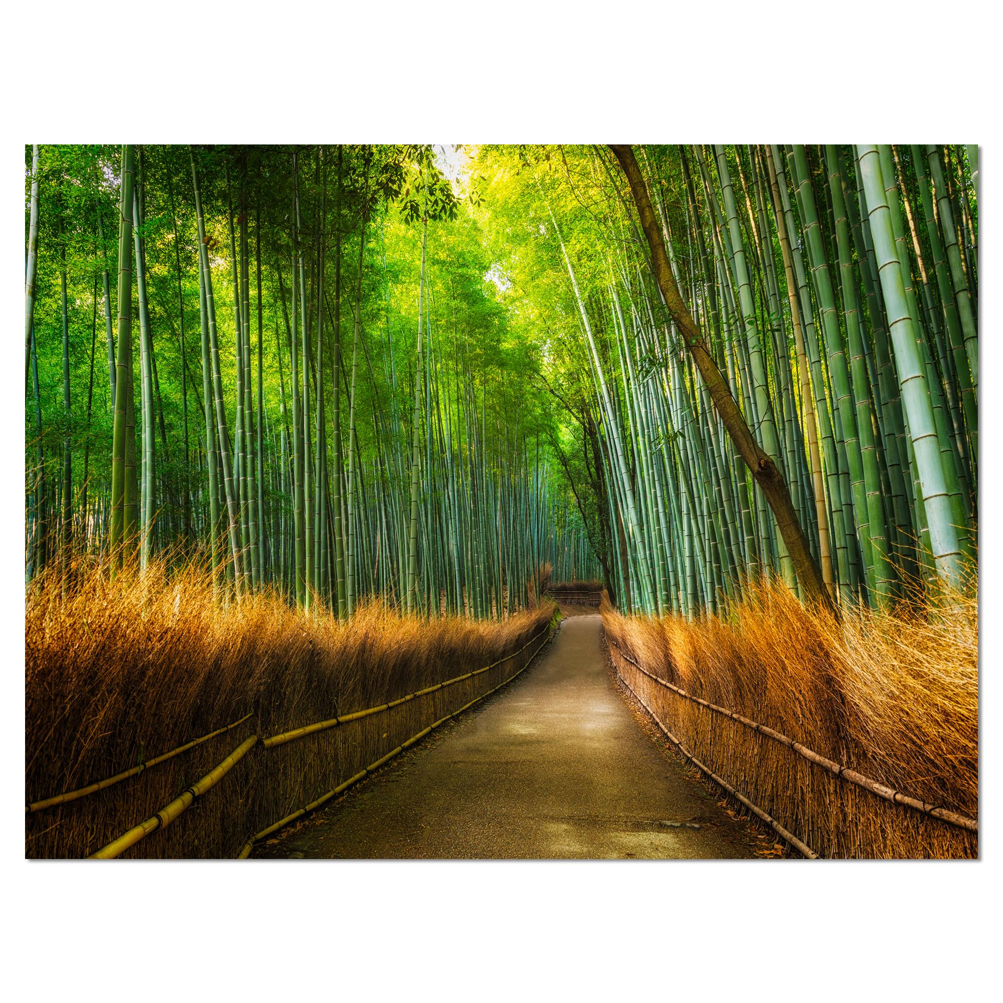 Designart - Arashiyama Bamboo Grove Japan - Oversized Forest Canvas Artwork