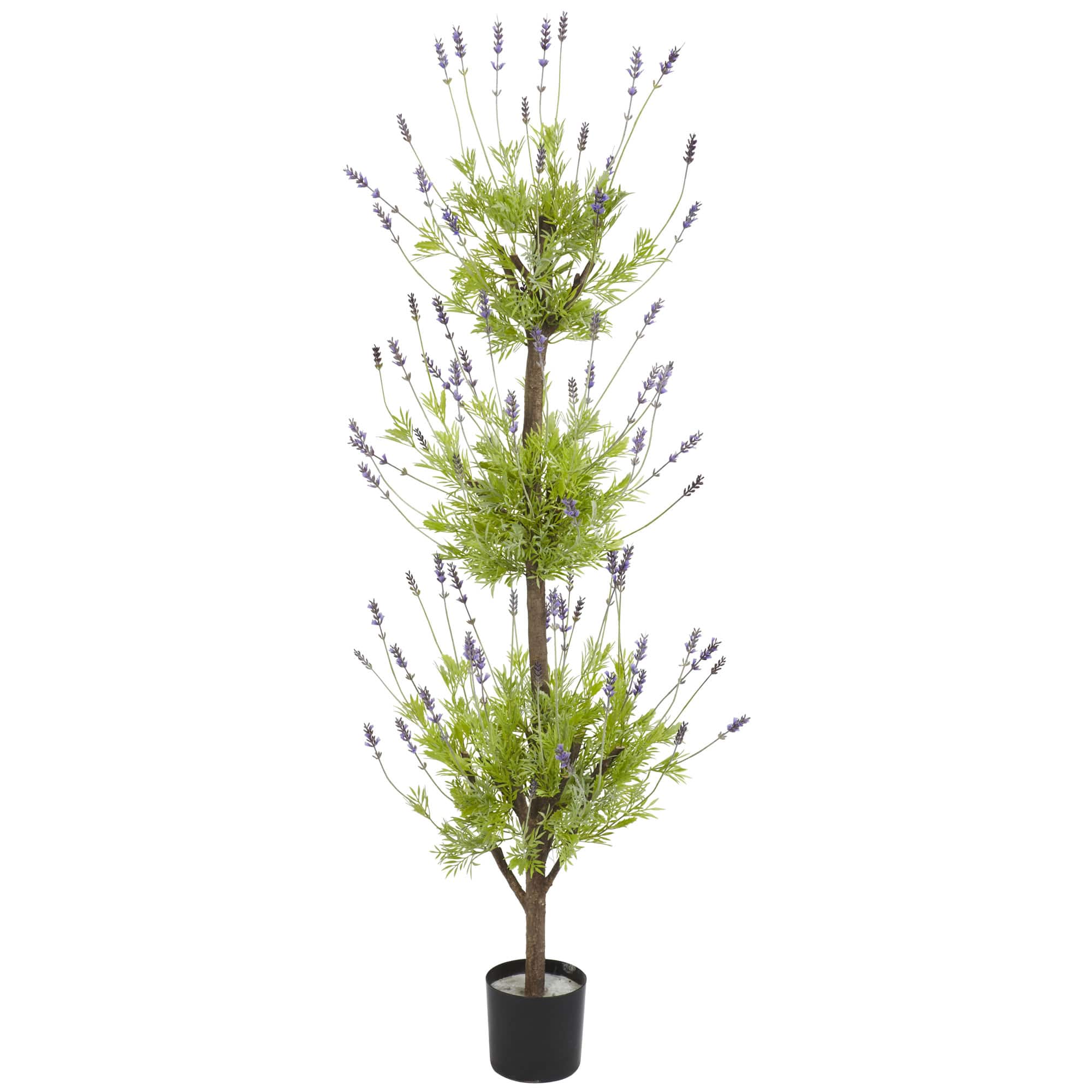 4ft. Potted Lavender Topiary Tree
