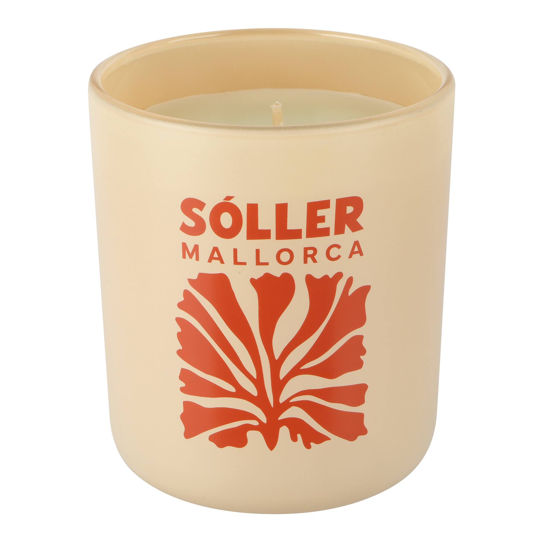 10oz. Scented Candle in Gift Box by Ashland®