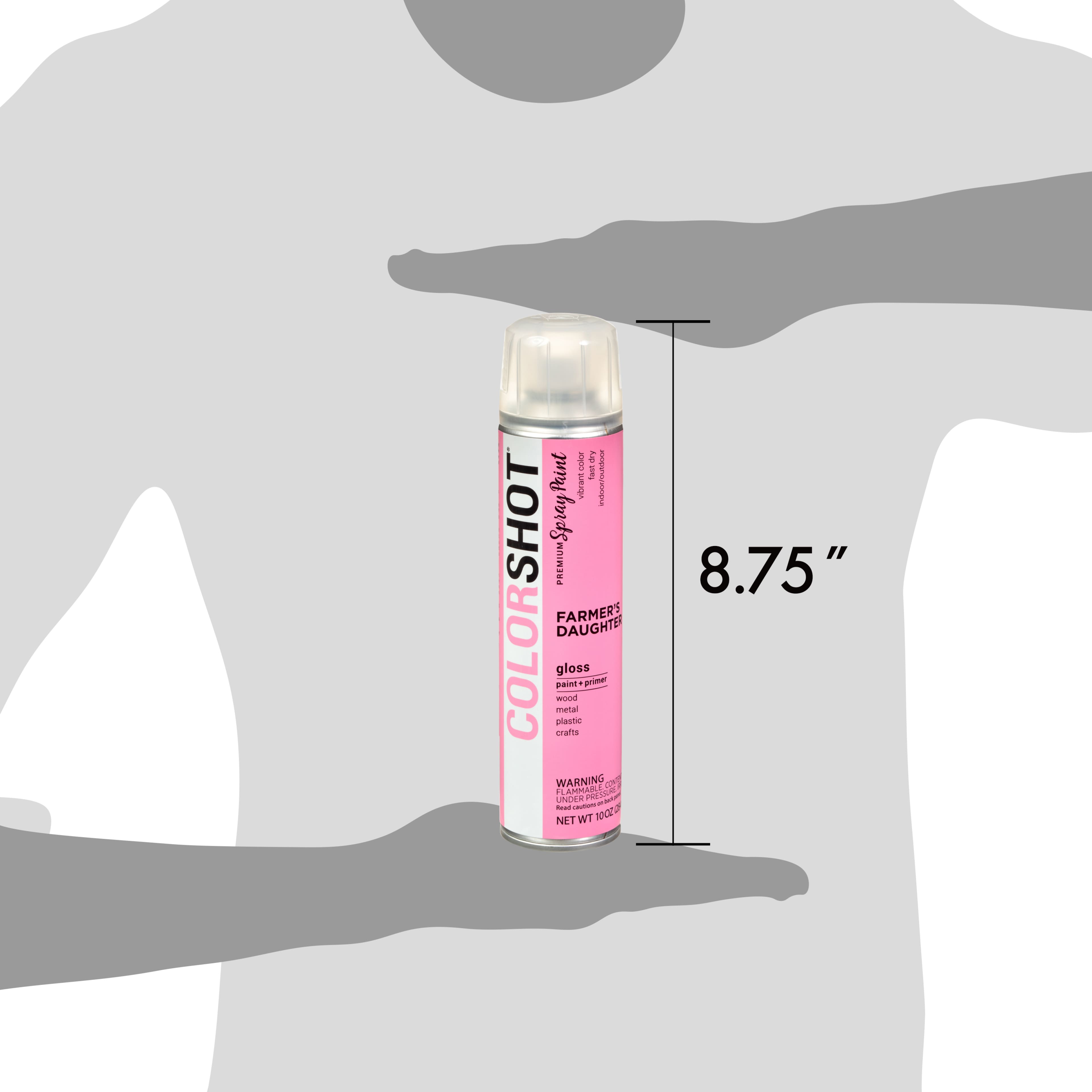 COLORSHOT&#xAE; Premium Gloss Spray Paint