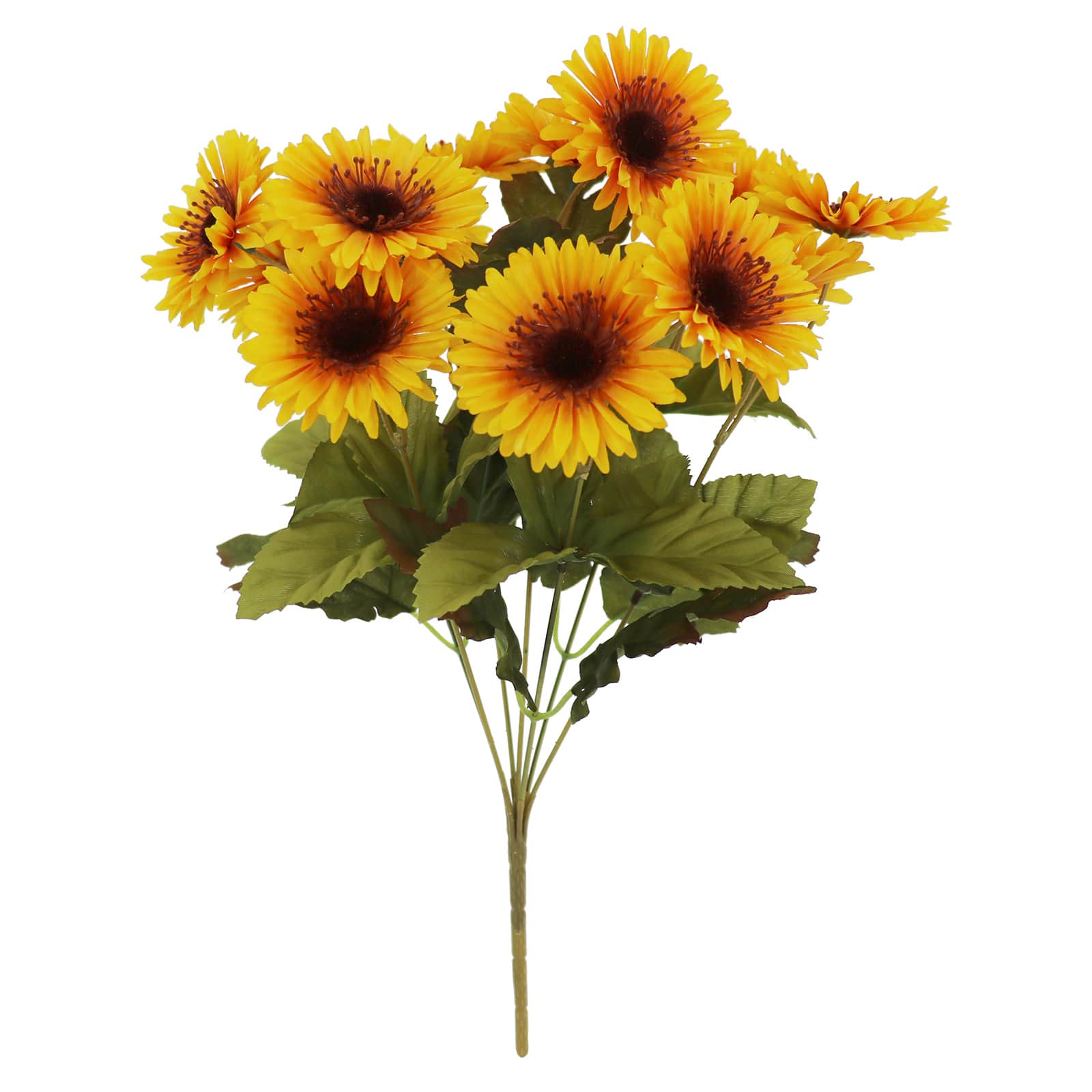 10&#x22; Fall Daisy Bush by Ashland&#xAE;