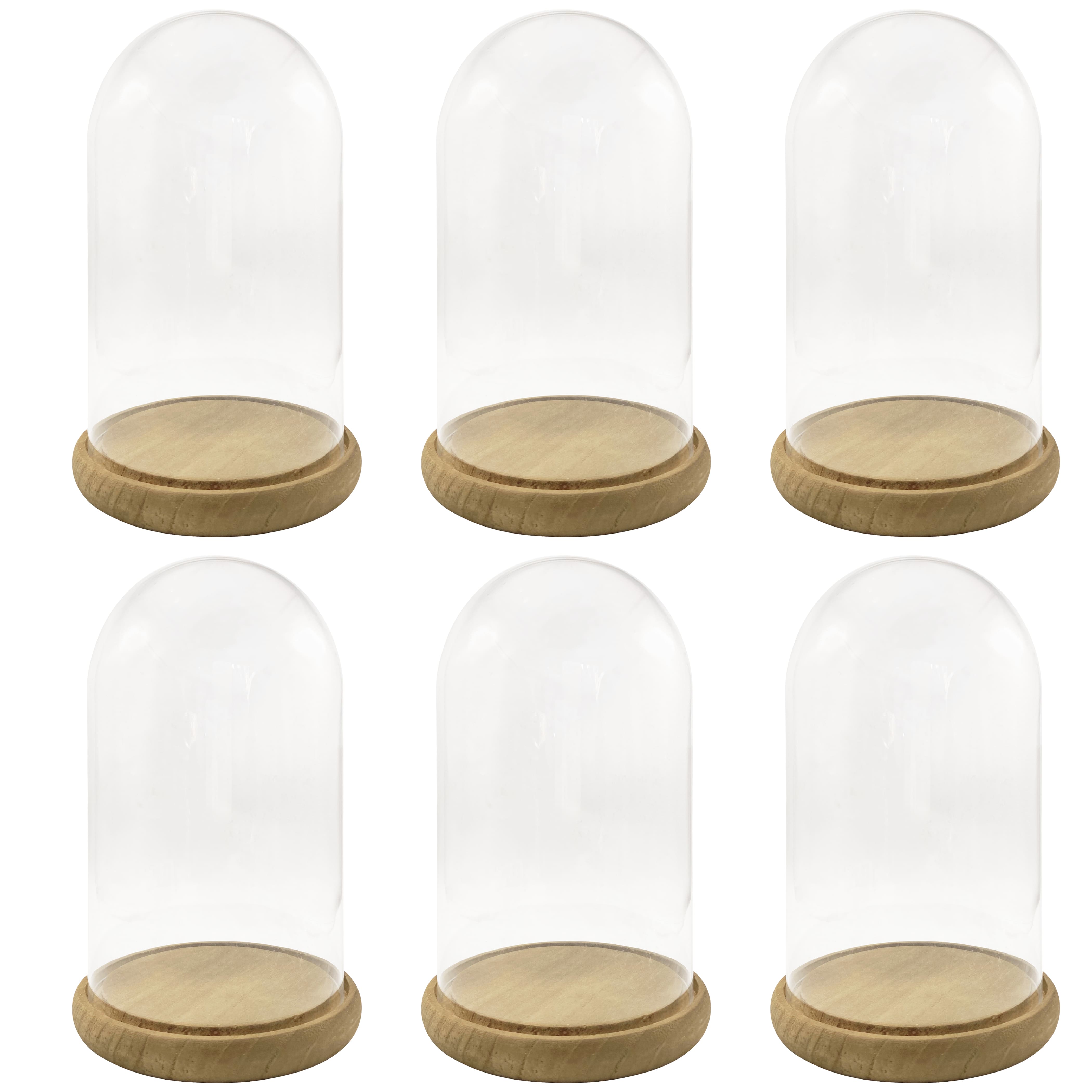 6 Pack: 9.5" Glass Cloche with Wood Base by Ashland®