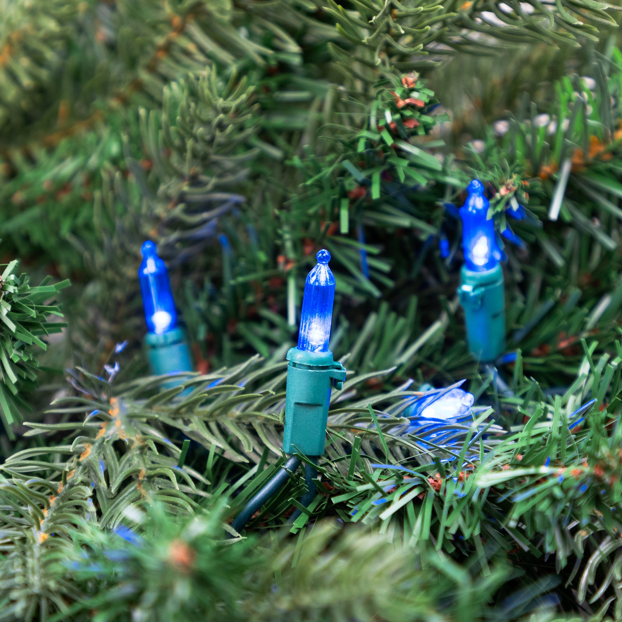 100ct. LED Mini Christmas Lights With Green Wire