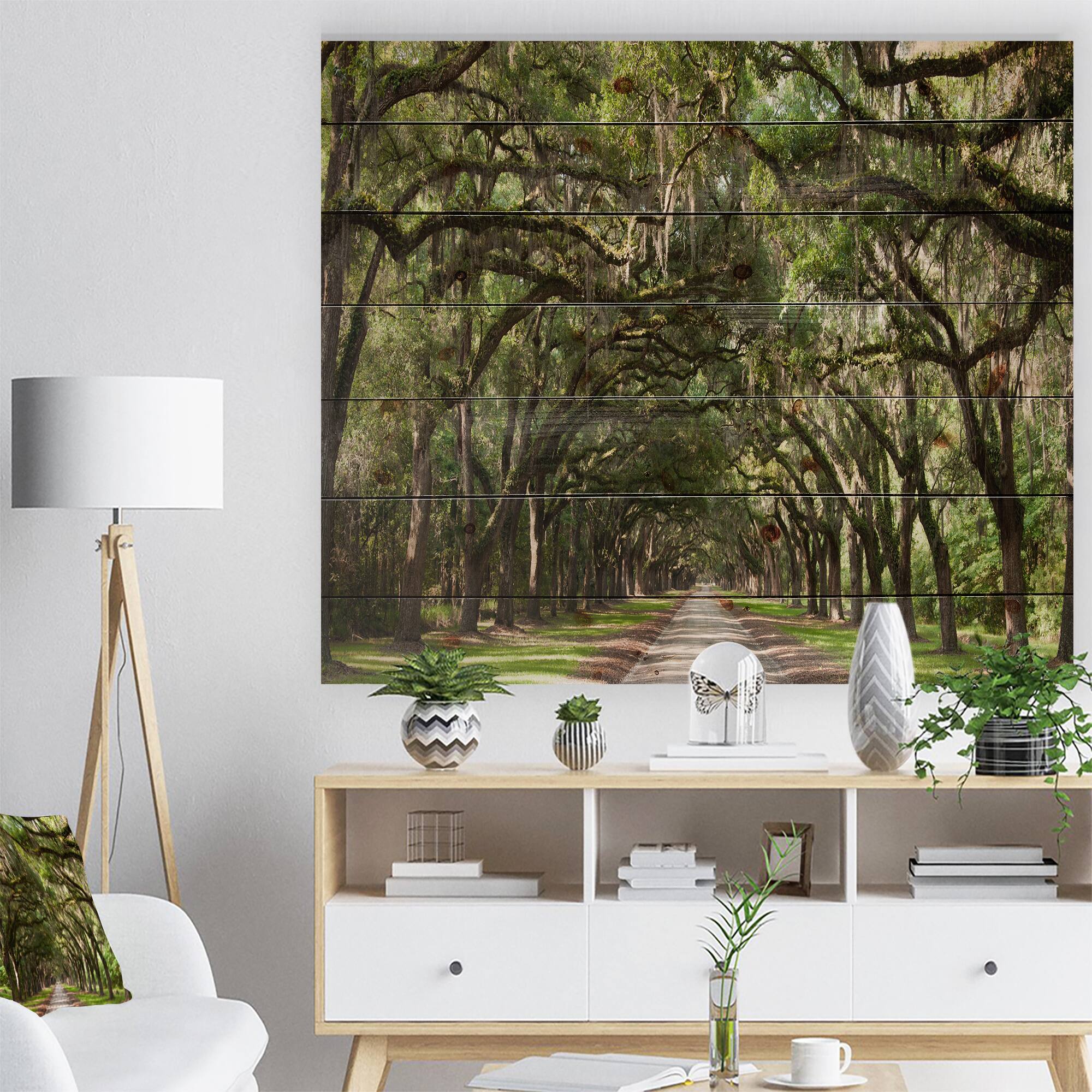 Designart - Live Oak Tunnel - Photography Print on Natural Pine Wood