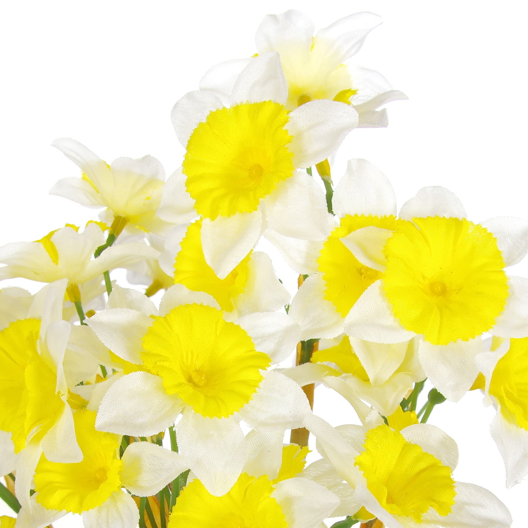 White &#x26; Yellow Narcissus Bush by Ashland&#xAE;