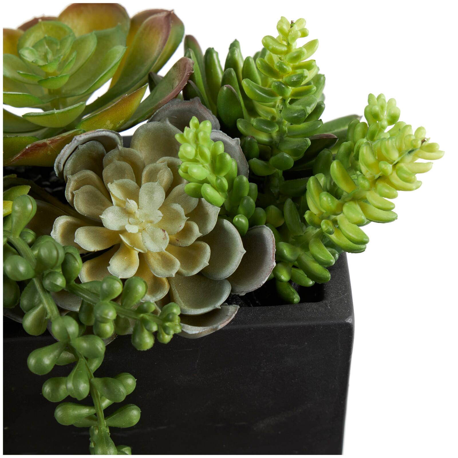 14&#x22; Green Faux Succulent in Black Rectangular Container