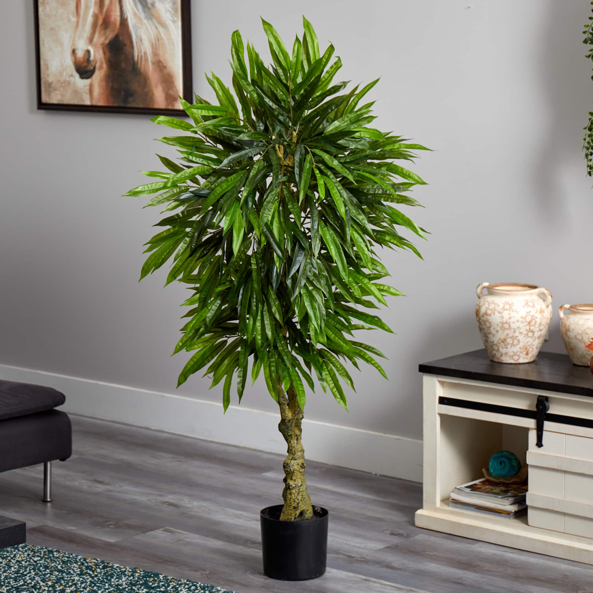 4.5ft. Potted Mango Tree
