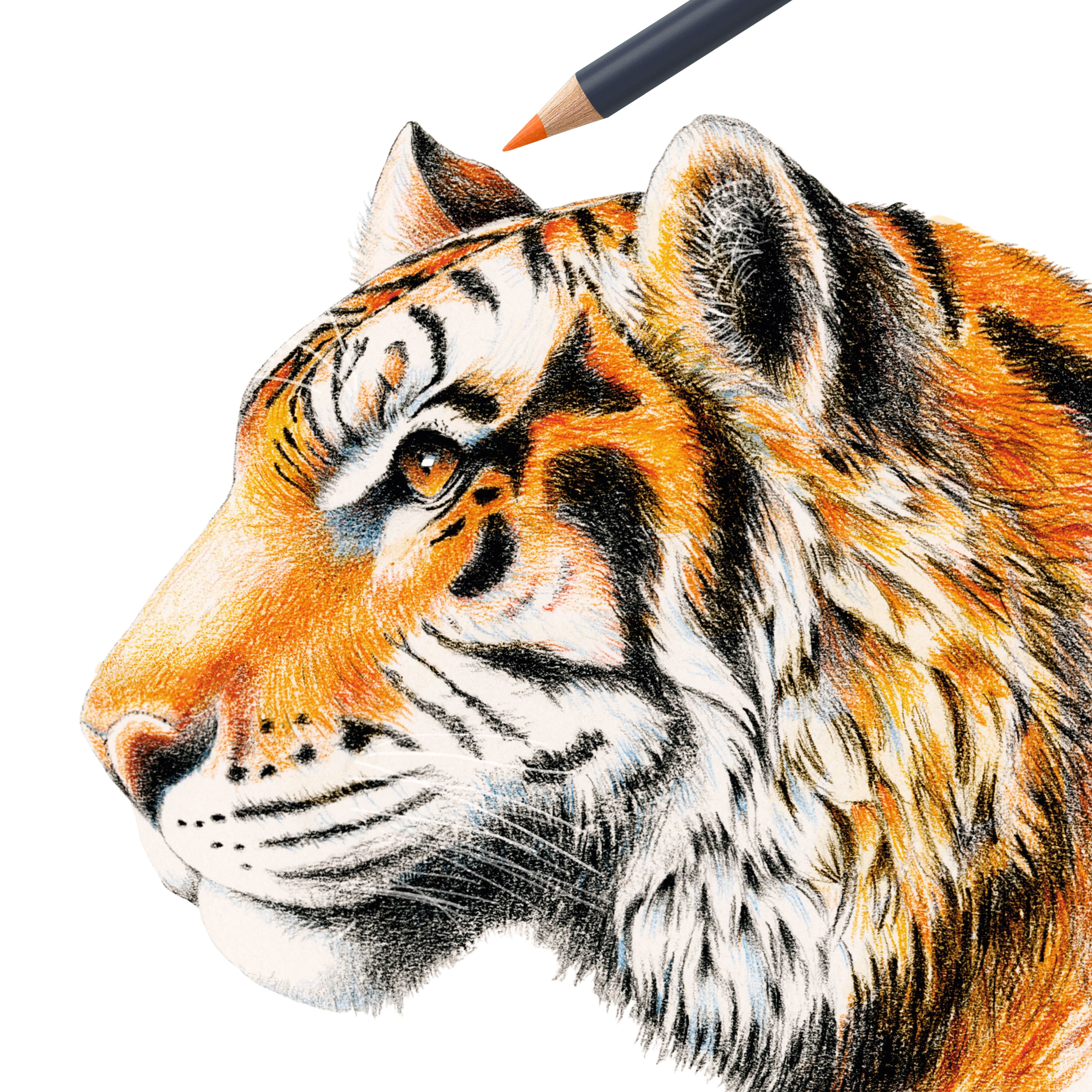 Faber-Castell® Goldfaber 24-Piece Colour Pencils