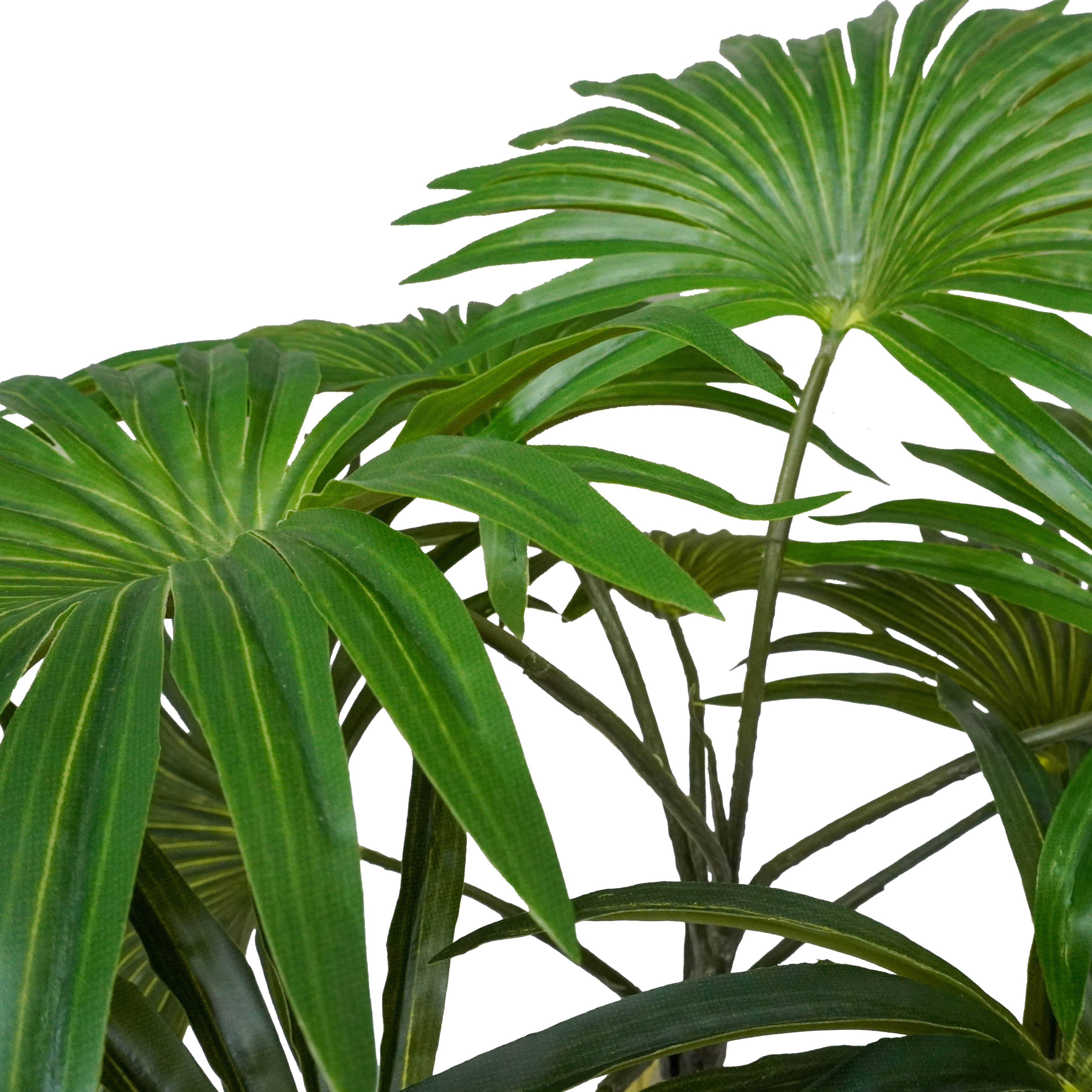 18&#x22; Green Fountain Palm Bush by Ashland&#xAE;