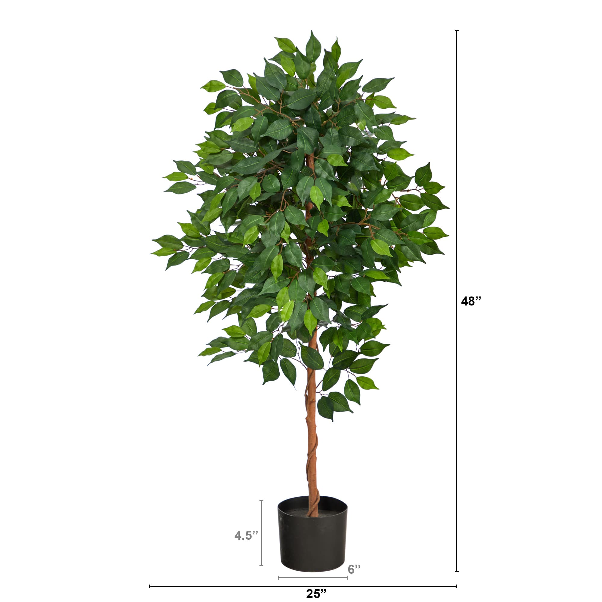 4ft. Potted Ficus Tree