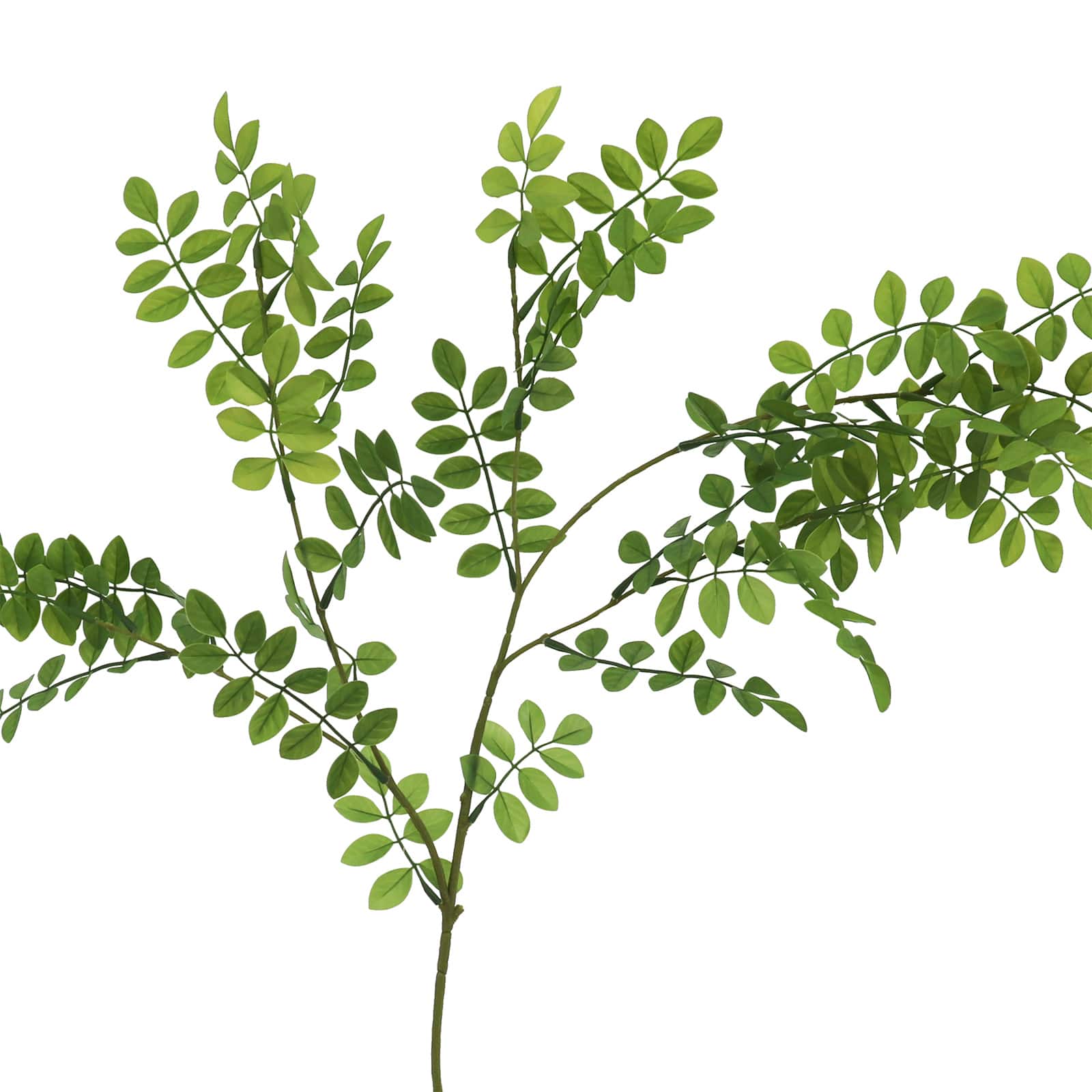 29&#x22; Green Hanging Acacia Leaves Stem by Ashland&#xAE;