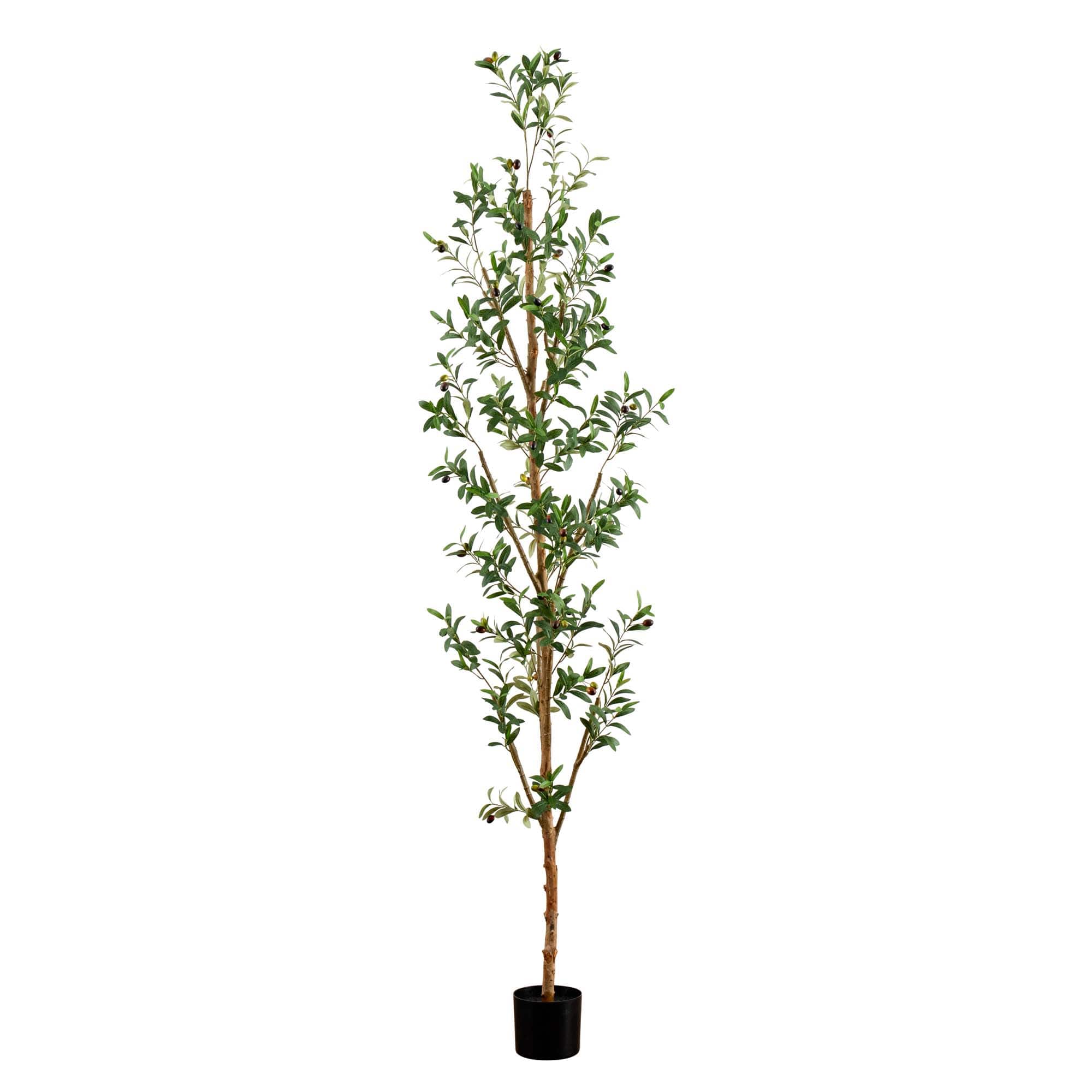 8ft. Potted Artificial Olive Tree with Natural Trunk